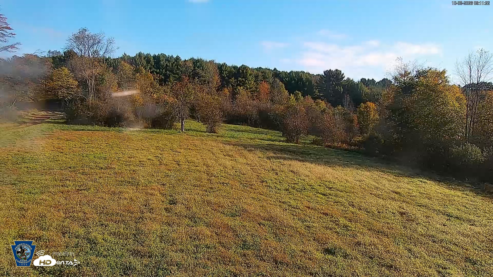 Snapshot of Pennsylvania Elk Live Webcam taken Oct 3, 2026, 9:12am EDT