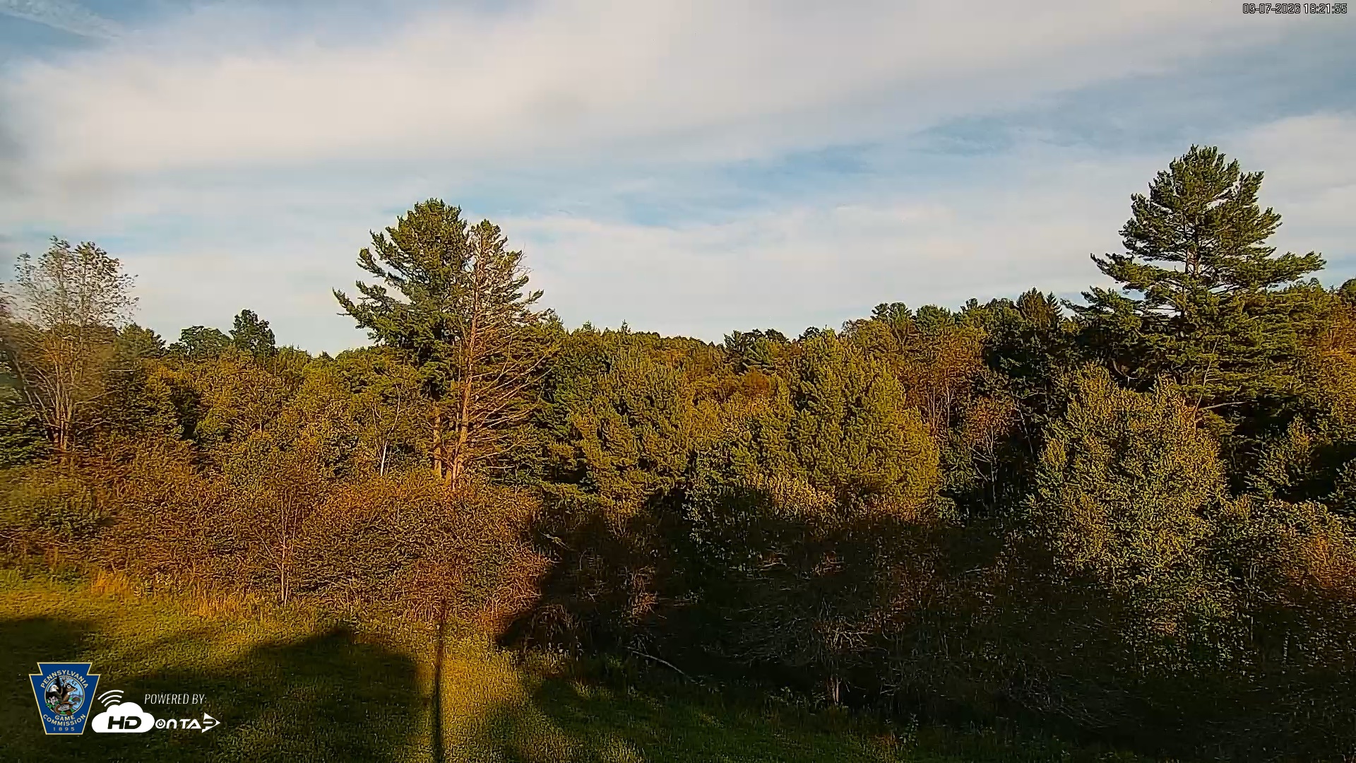 Snapshot of Pennsylvania Elk Live Webcam taken Sep 7, 2026, 6:22pm EDT