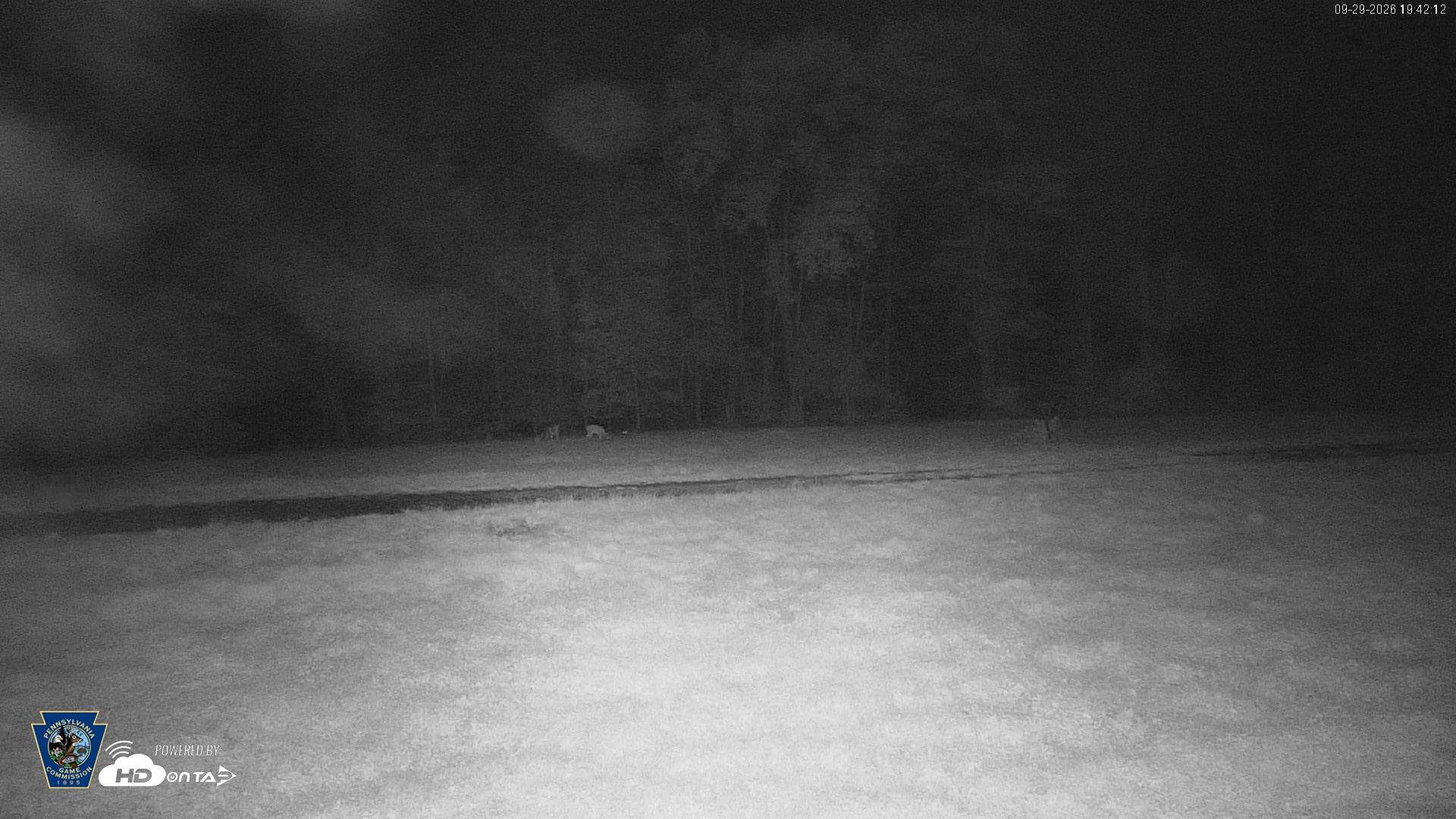 Snapshot of Pennsylvania Elk Live Webcam taken Sep 29, 2026, 7:42pm EDT