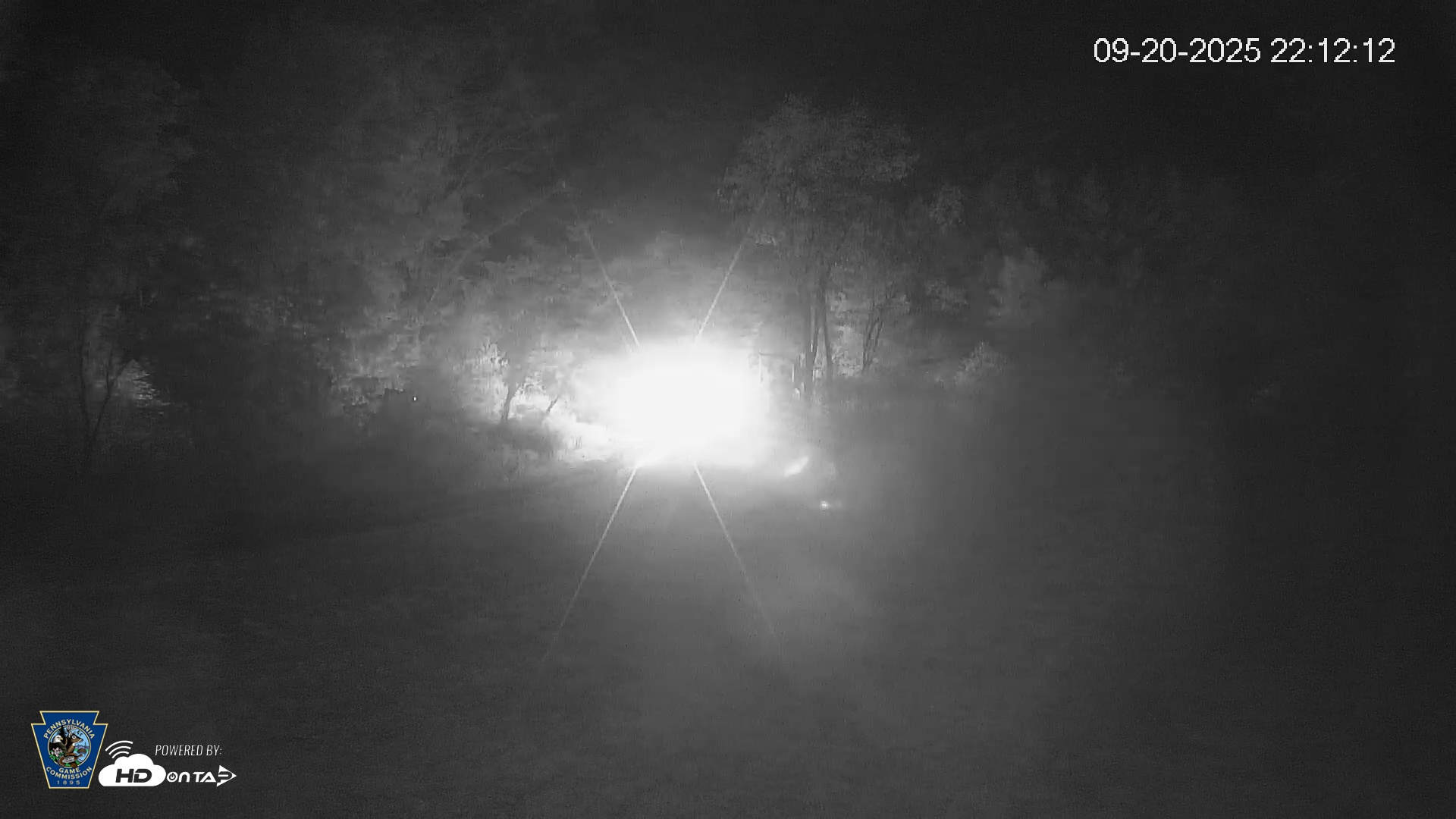 Snapshot of Pennsylvania Elk Live Webcam taken Sep 20, 2025, 10:13pm EDT