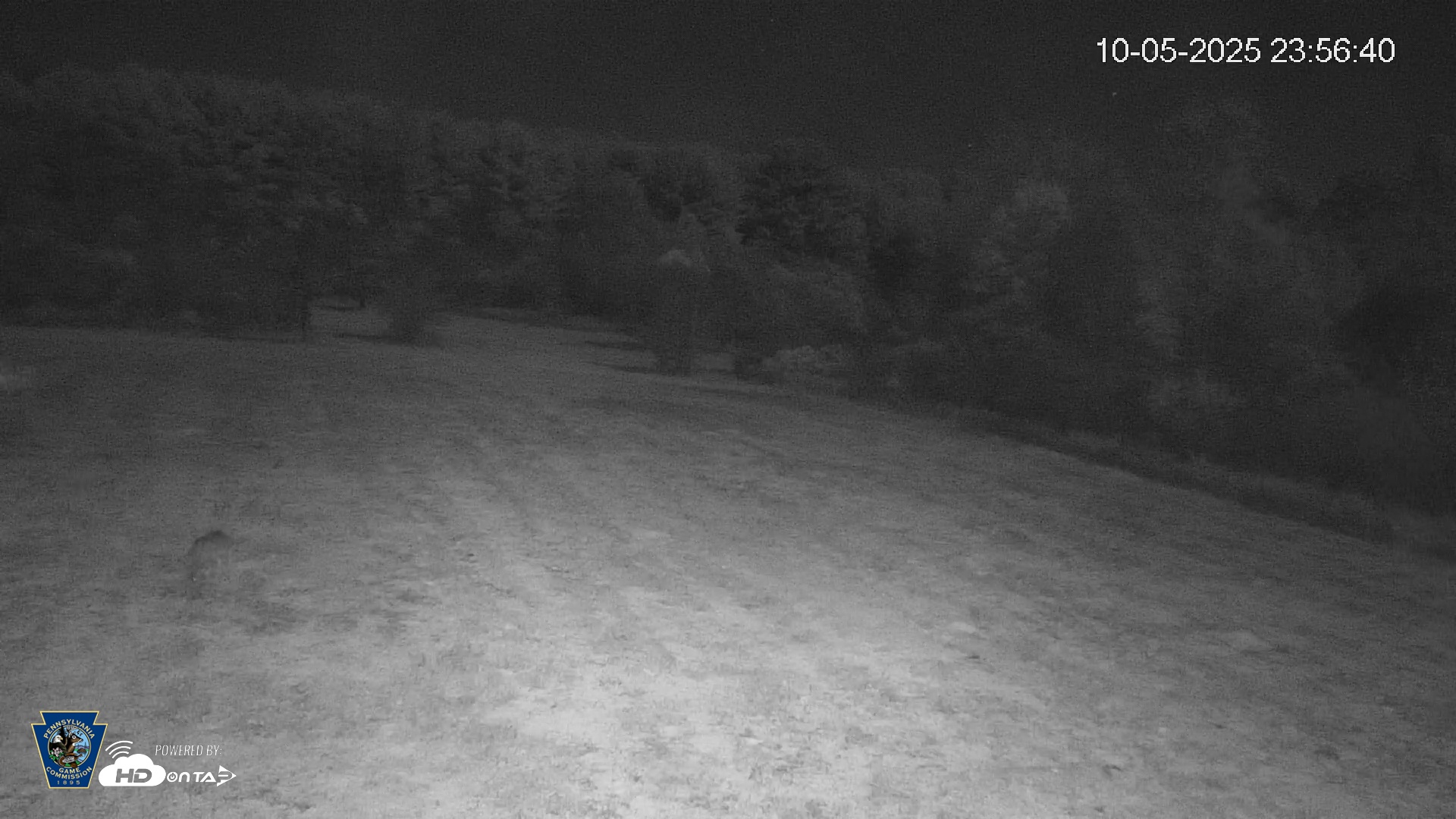 Snapshot of Pennsylvania Elk Live Webcam taken Oct 5, 2025, 11:57pm EDT