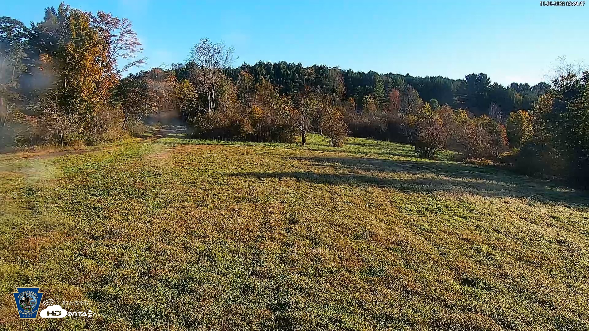 Snapshot of Pennsylvania Elk Live Webcam taken Oct 3, 2026, 8:45am EDT
