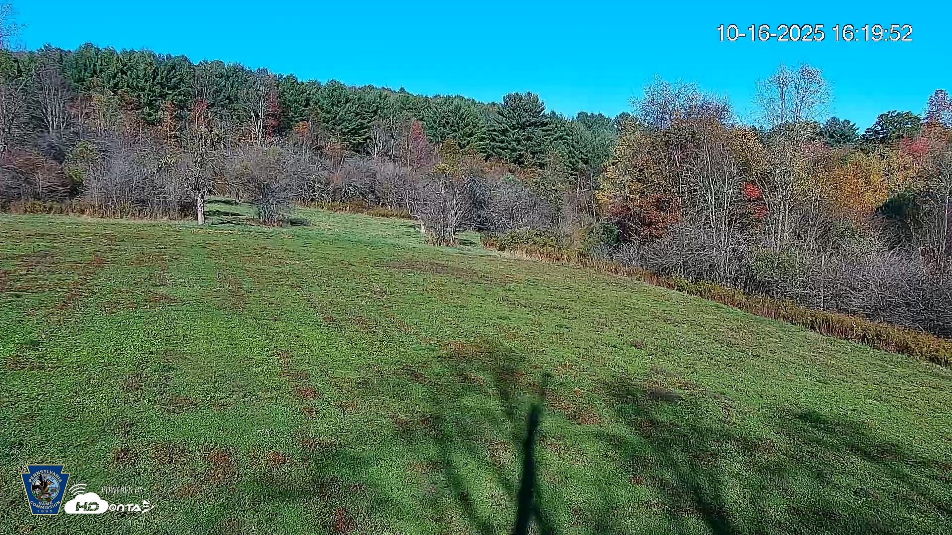 Snapshot of Pennsylvania Elk Live Webcam taken Oct 16, 2025, 4:20pm EDT