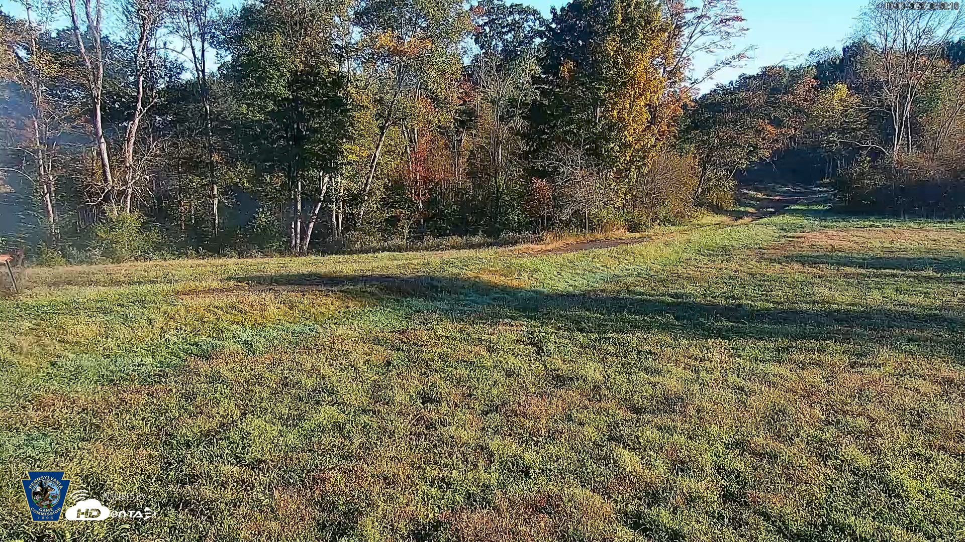 Snapshot of Pennsylvania Elk Live Webcam taken Oct 3, 2026, 8:21am EDT