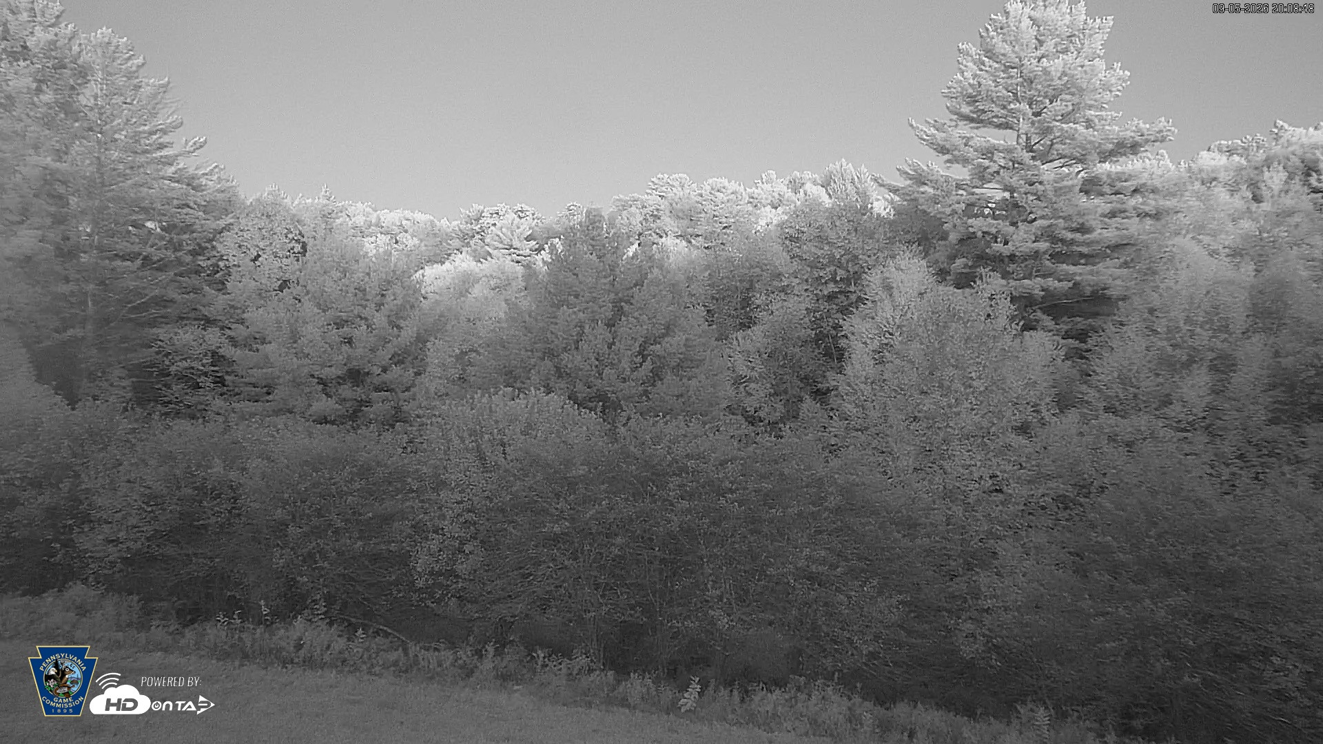 Snapshot of Pennsylvania Elk Live Webcam taken Sep 5, 2026, 8:09pm EDT