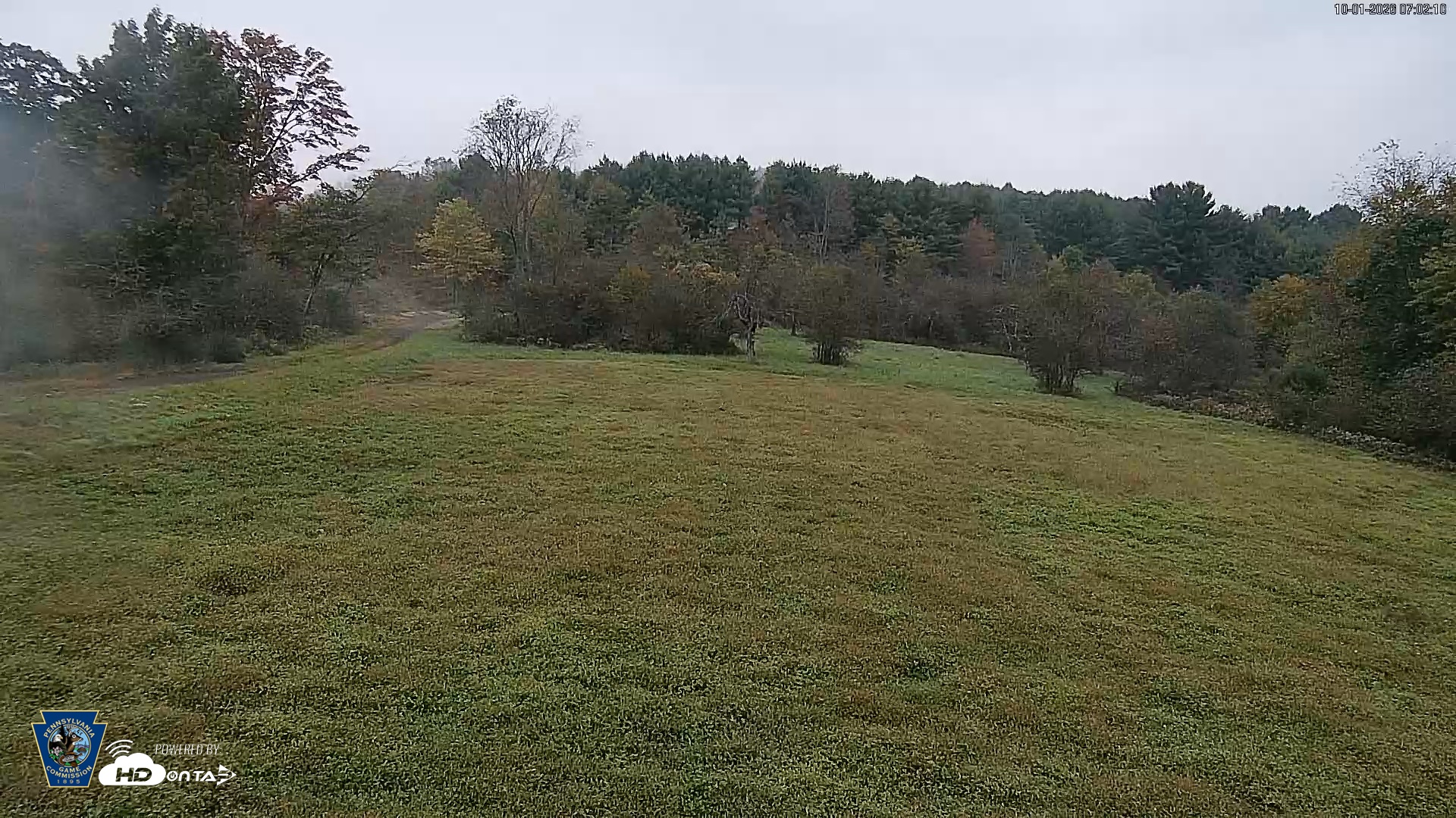 Snapshot of Pennsylvania Elk Live Webcam taken Oct 1, 2026, 7:03am EDT