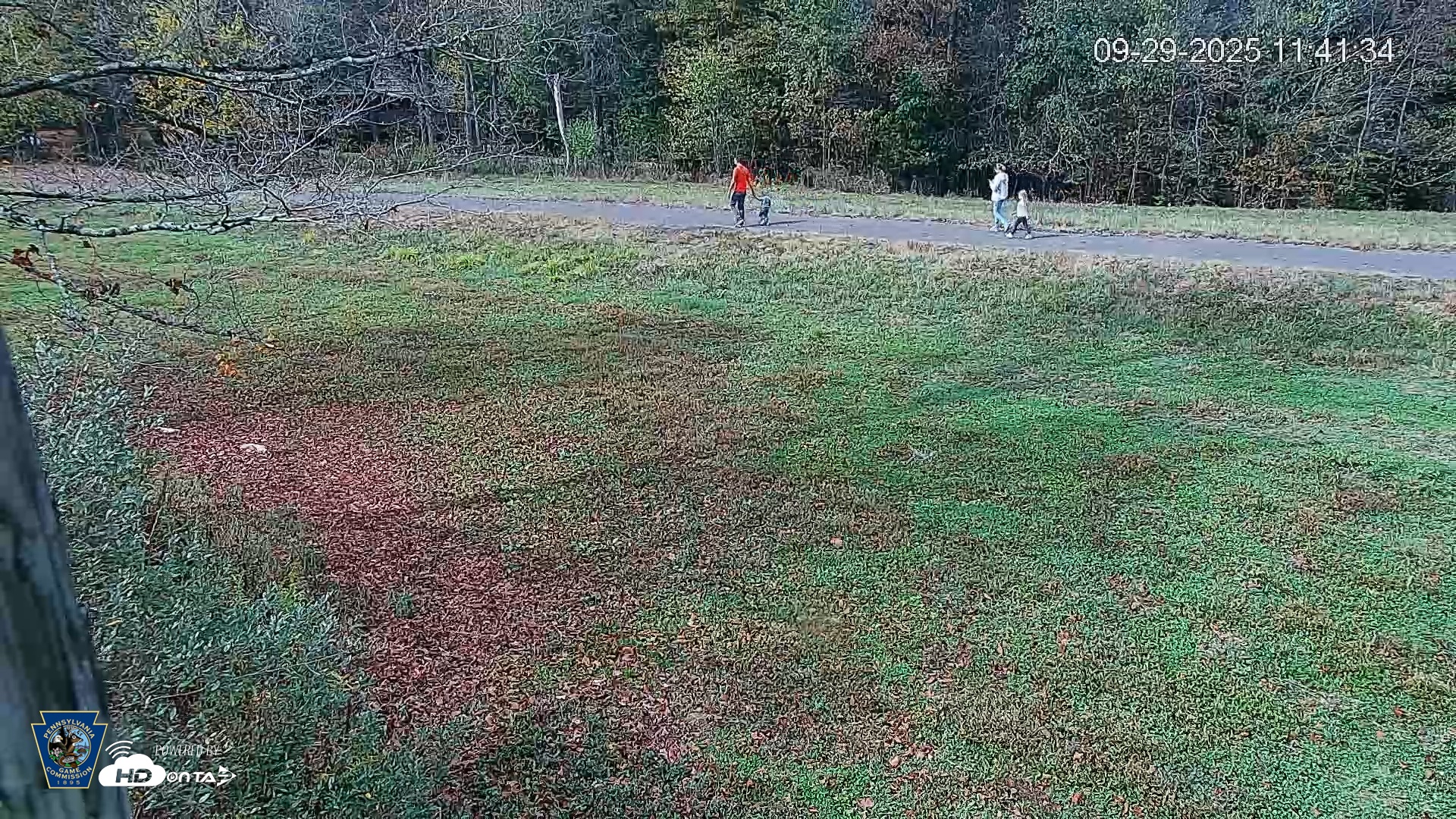 Snapshot of Pennsylvania Elk Live Webcam taken Sep 29, 2025, 11:42am EDT