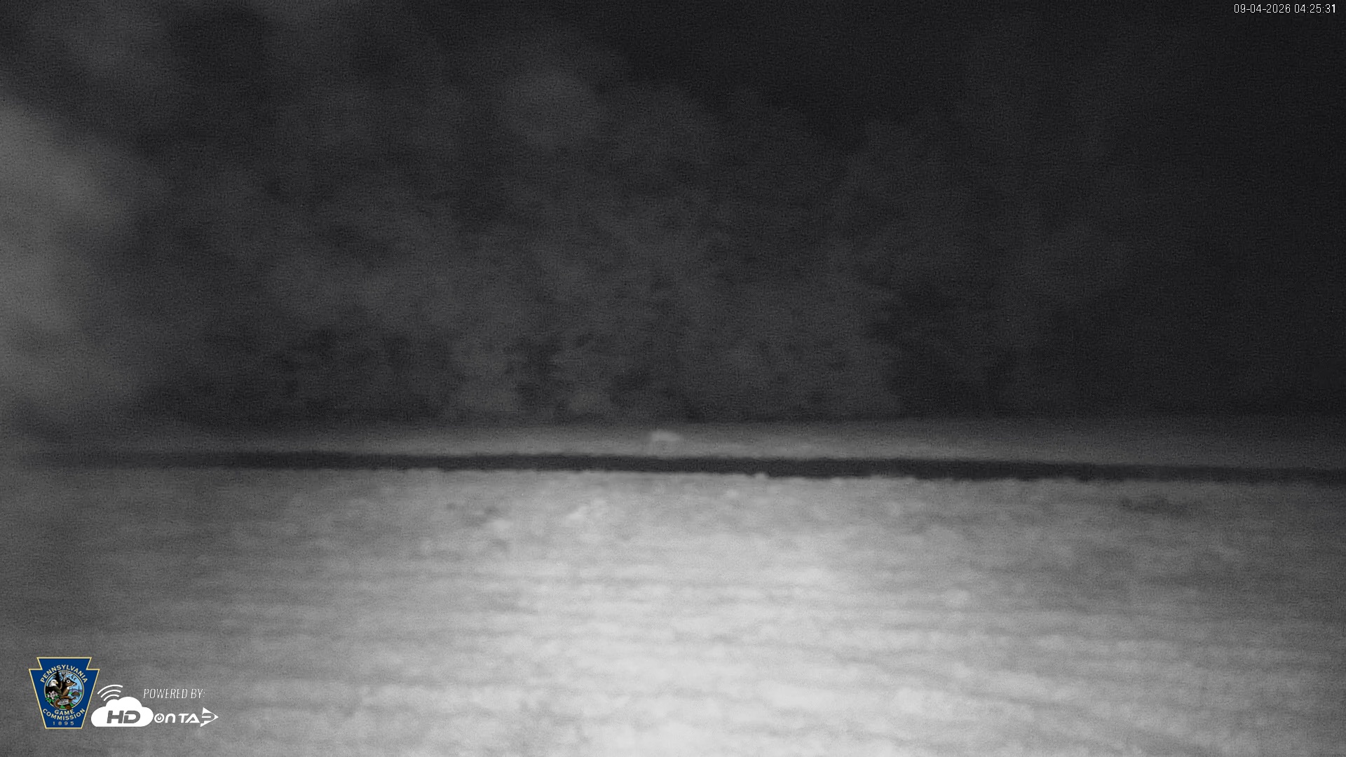 Snapshot of Pennsylvania Elk Live Webcam taken Sep 4, 2026, 4:26am EDT