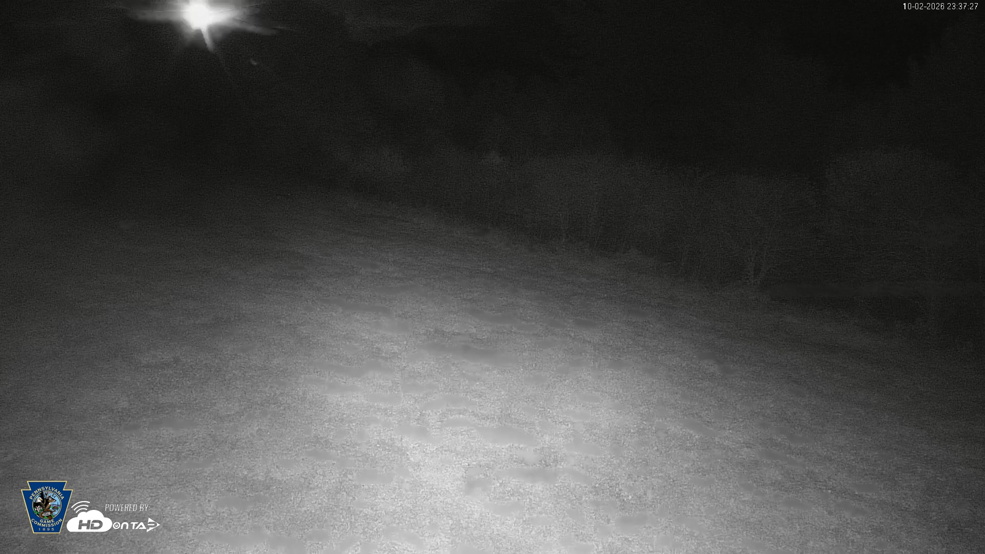 Snapshot of Pennsylvania Elk Live Webcam taken Oct 2, 2026, 11:38pm EDT