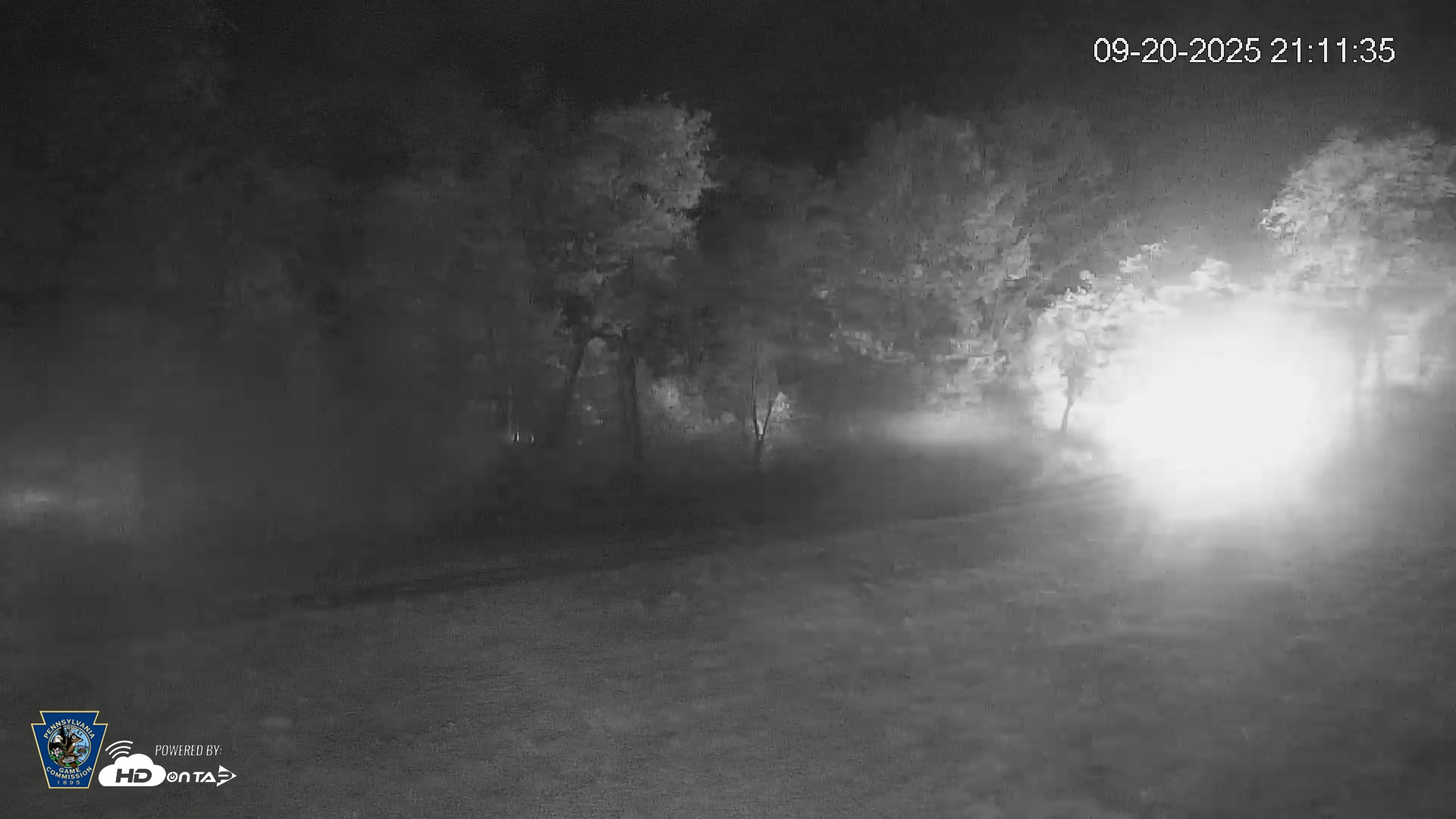 Snapshot of Pennsylvania Elk Live Webcam taken Sep 20, 2025, 9:12pm EDT