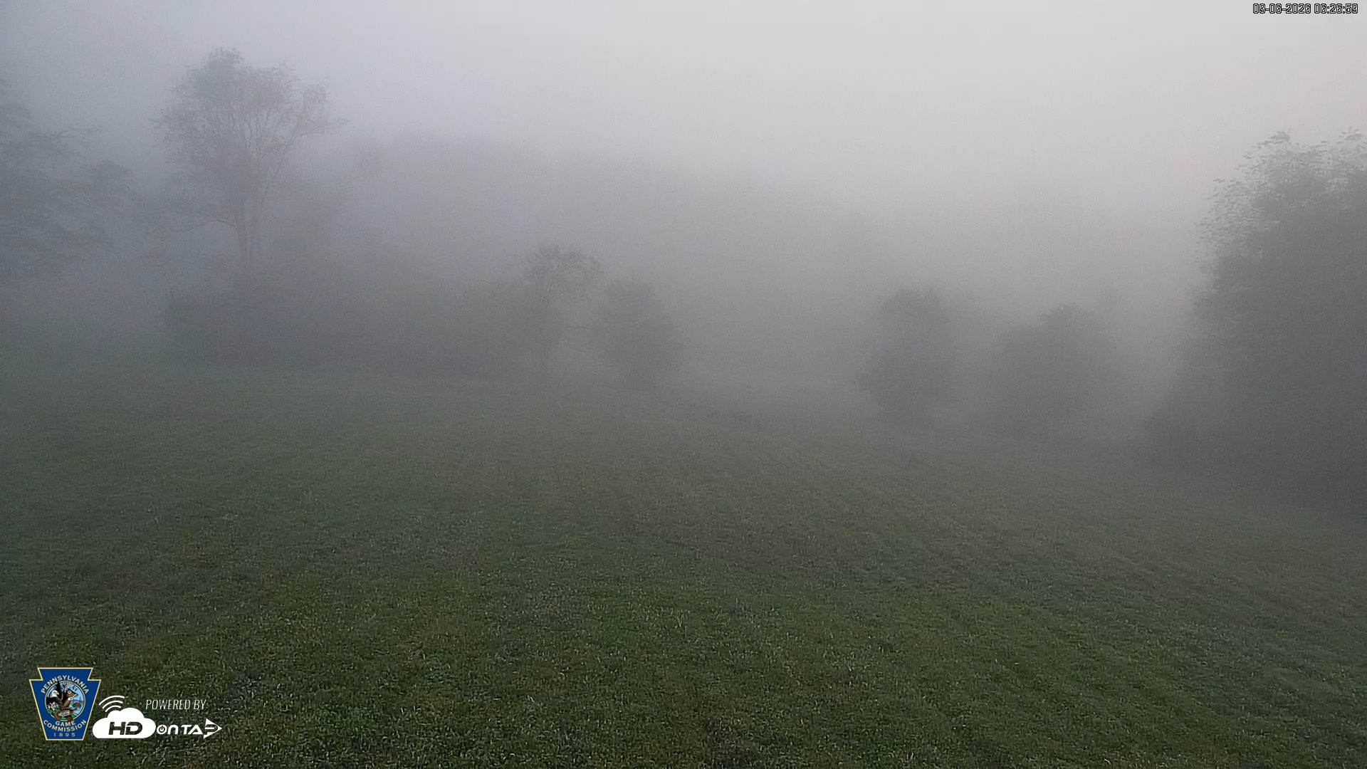 Snapshot of Pennsylvania Elk Live Webcam taken Sep 6, 2026, 6:27am EDT