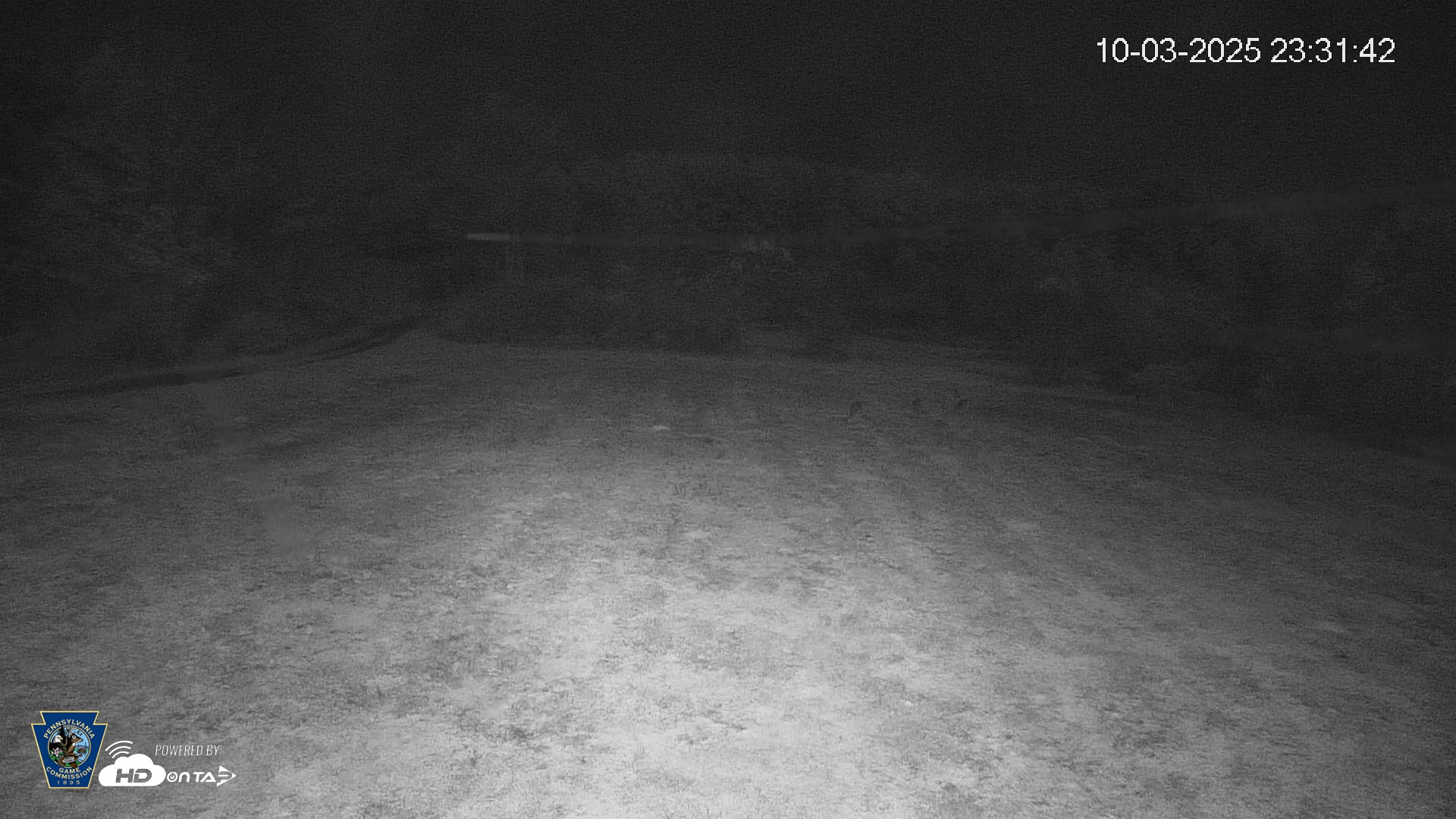 Snapshot of Pennsylvania Elk Live Webcam taken Oct 3, 2025, 11:32pm EDT
