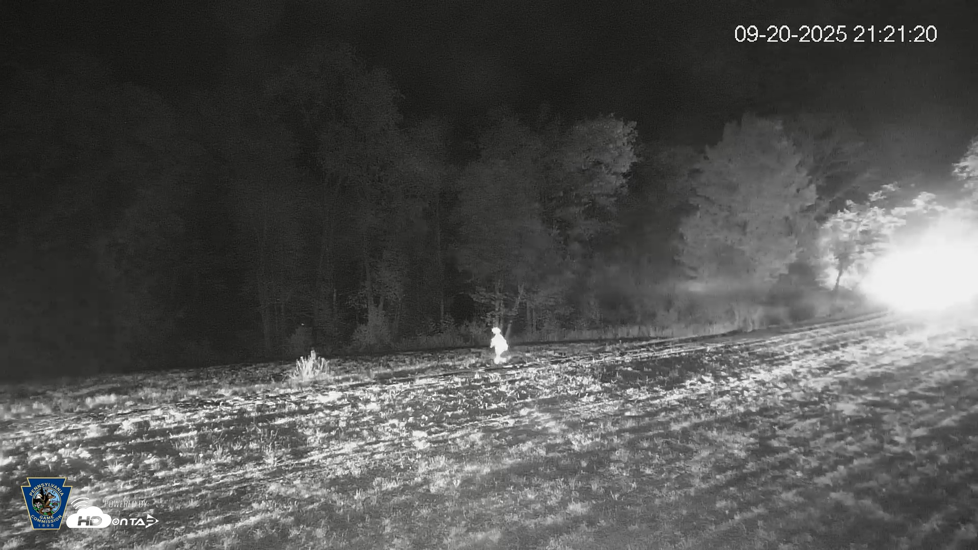 Snapshot of Pennsylvania Elk Live Webcam taken Sep 20, 2025, 9:22pm EDT