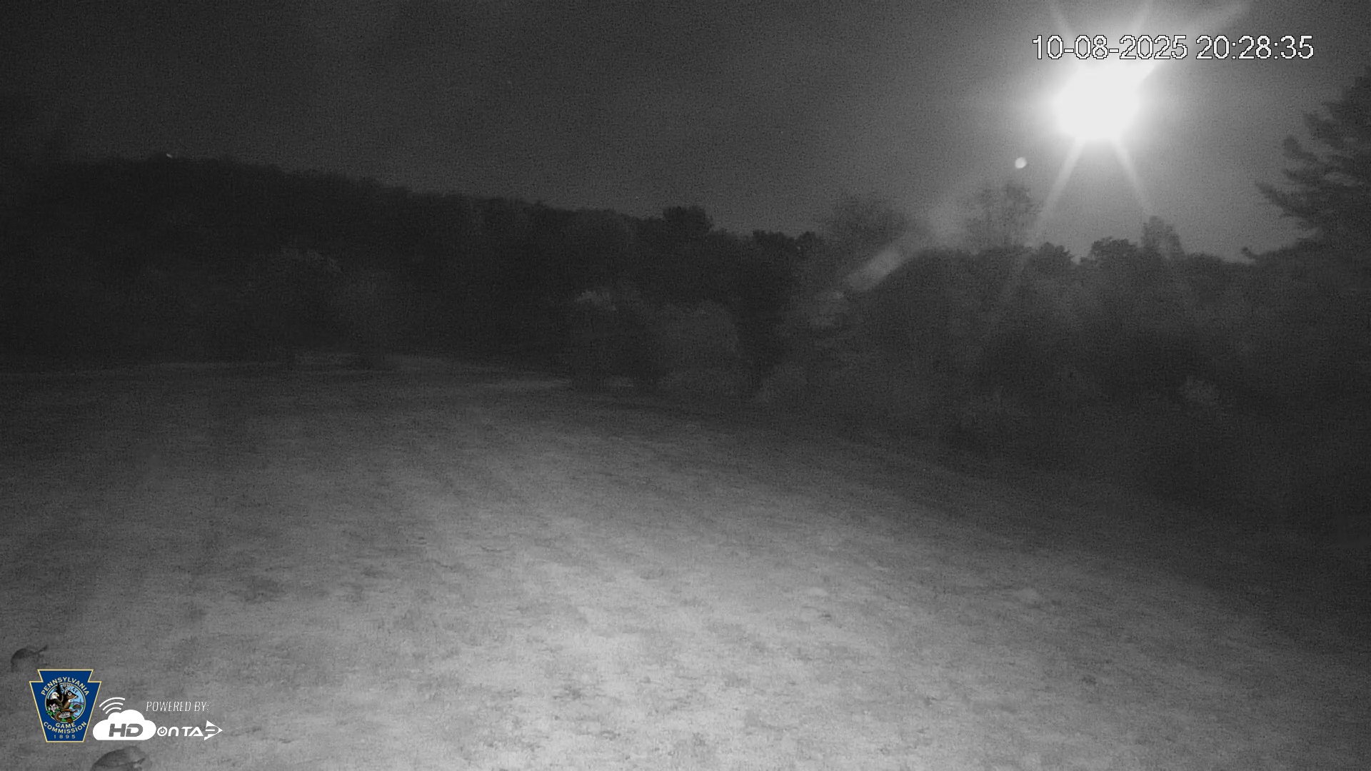 Snapshot of Pennsylvania Elk Live Webcam taken Oct 8, 2025, 8:29pm EDT