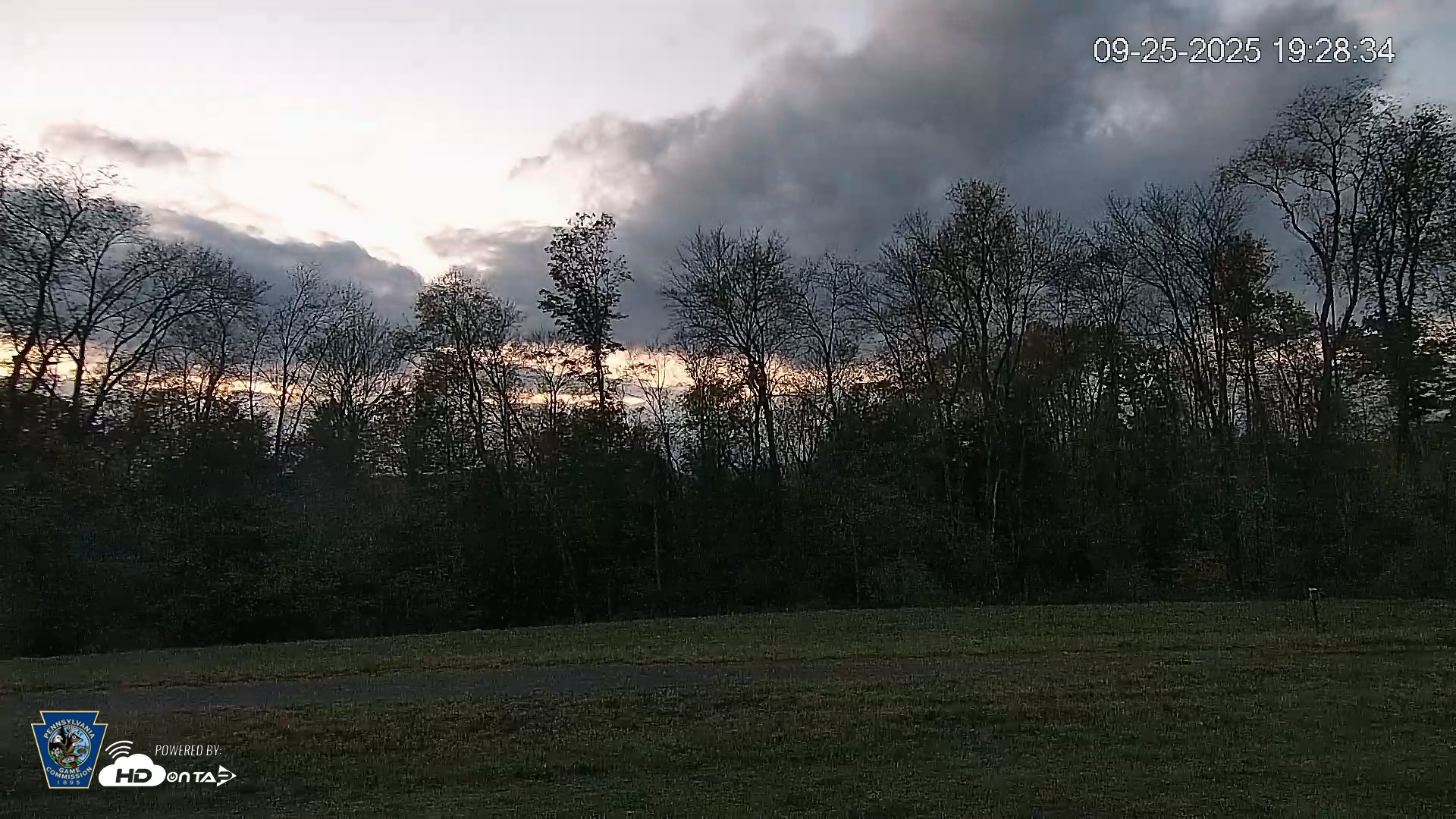 Snapshot of Pennsylvania Elk Live Webcam taken Sep 25, 2025, 7:30pm EDT