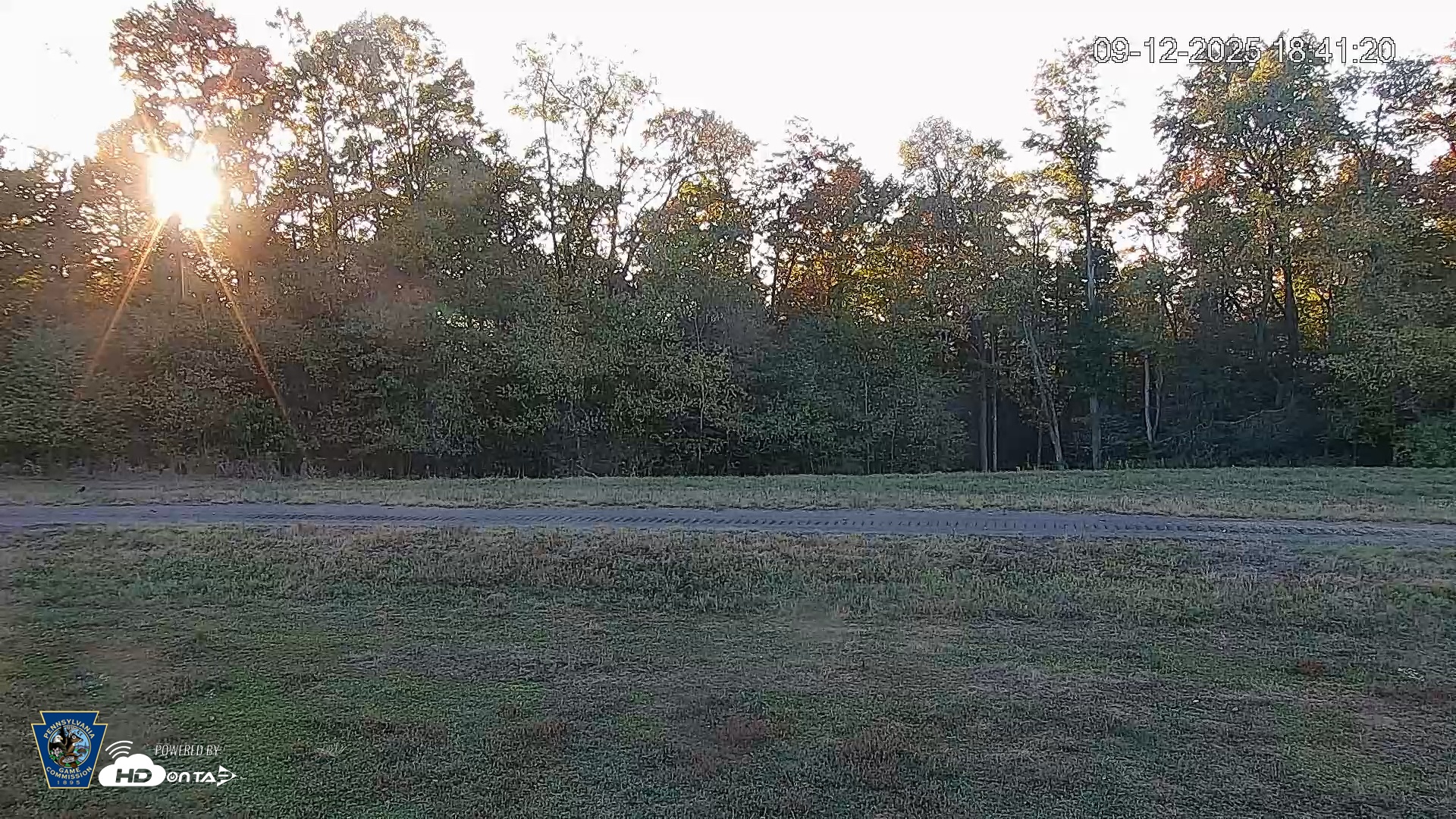 Snapshot of Pennsylvania Elk Live Webcam taken Sep 12, 2025, 6:42pm EDT