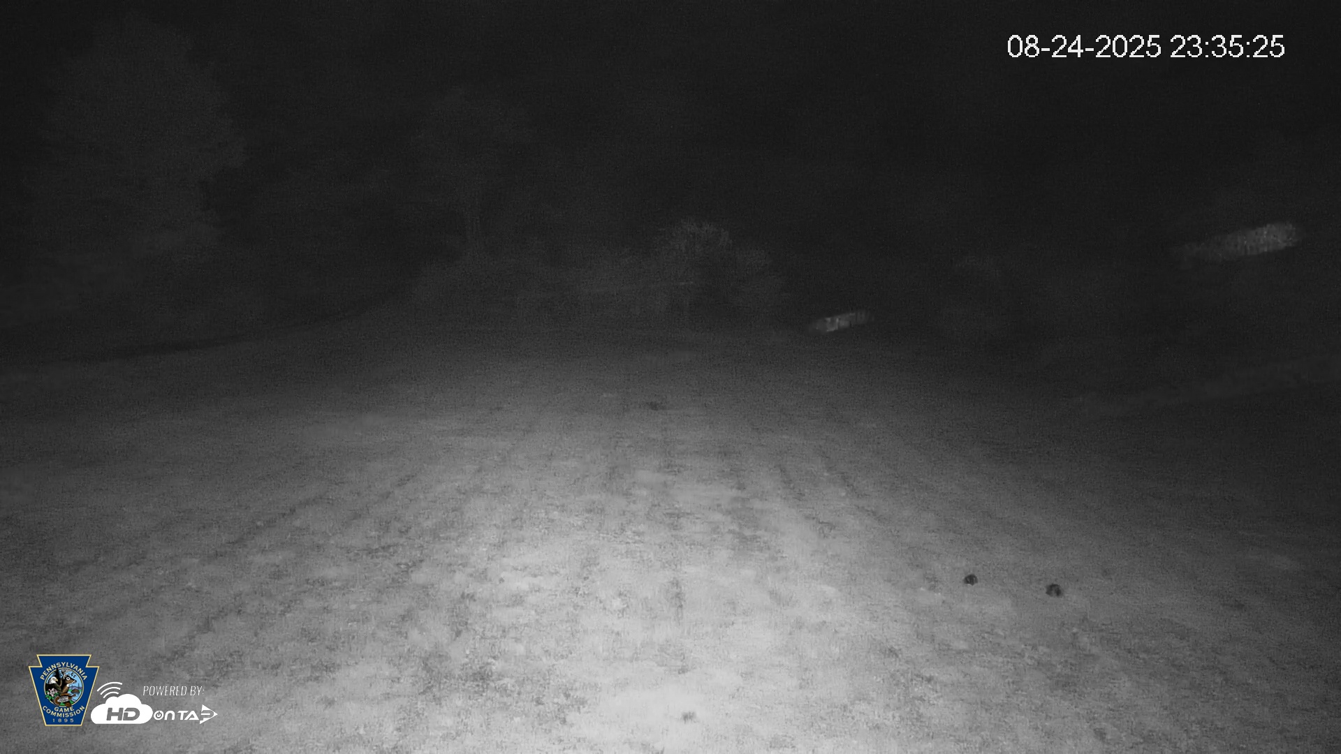 Snapshot of Pennsylvania Elk Live Webcam taken Aug 24, 2025, 11:36pm EDT