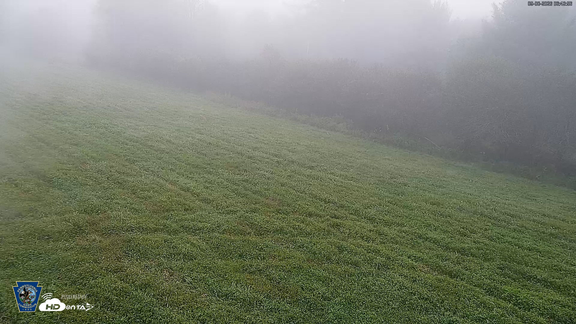 Snapshot of Pennsylvania Elk Live Webcam taken Sep 8, 2026, 6:44am EDT