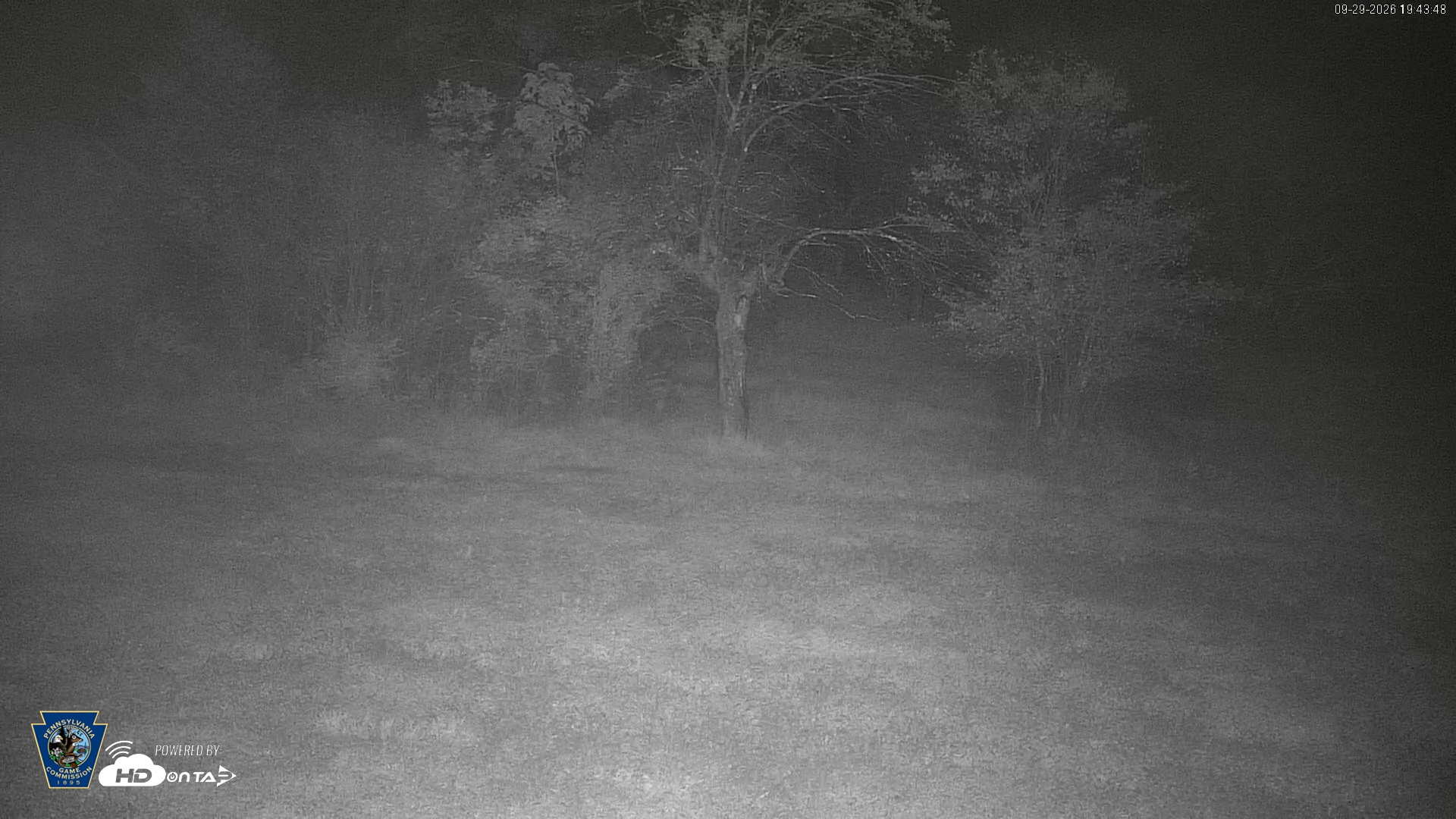 Snapshot of Pennsylvania Elk Live Webcam taken Sep 29, 2026, 7:44pm EDT