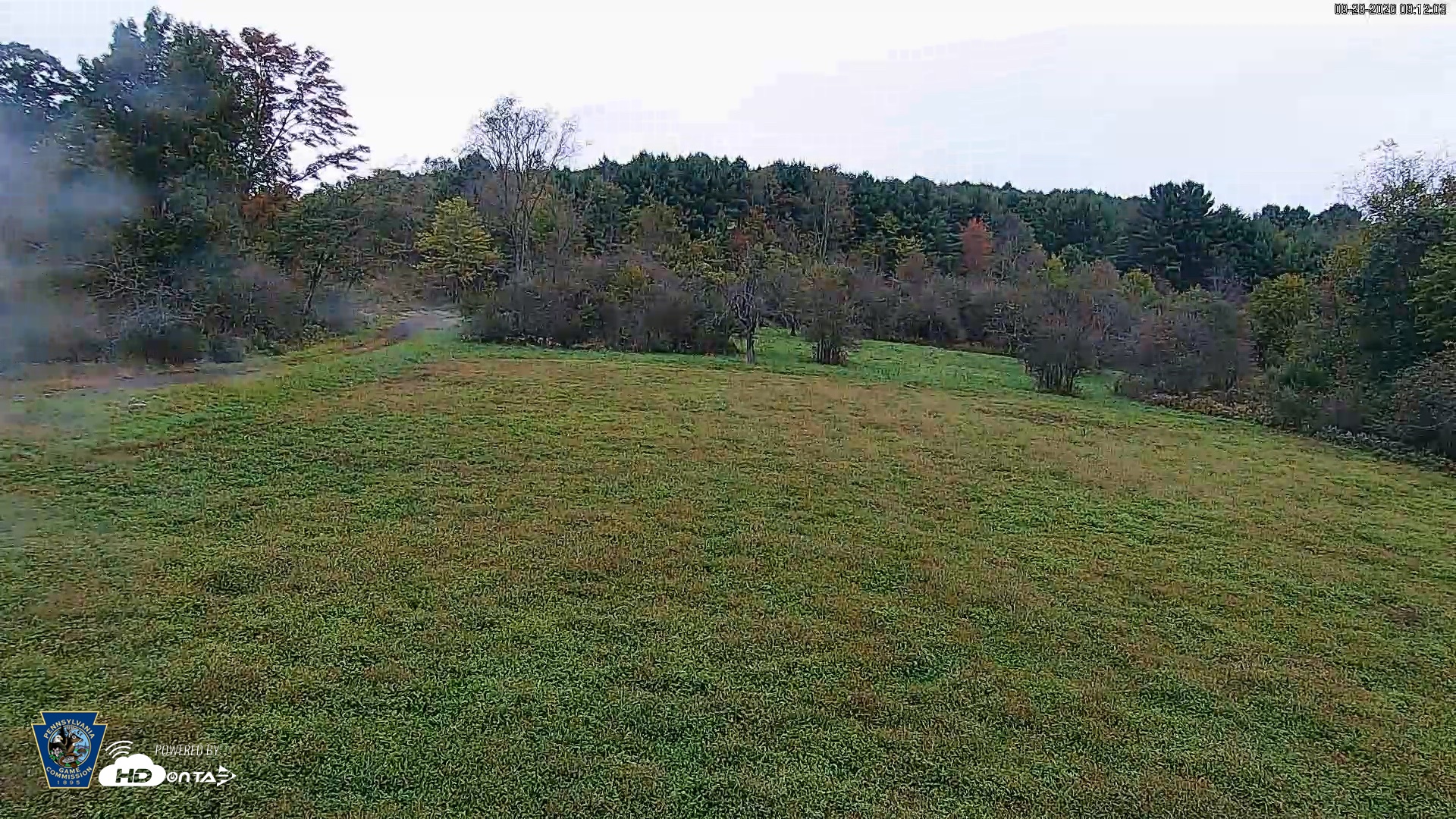 Snapshot of Pennsylvania Elk Live Webcam taken Sep 29, 2026, 9:13am EDT