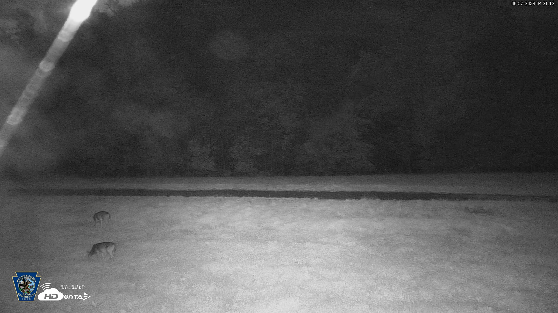 Snapshot of Pennsylvania Elk Live Webcam taken Sep 27, 2026, 4:21am EDT