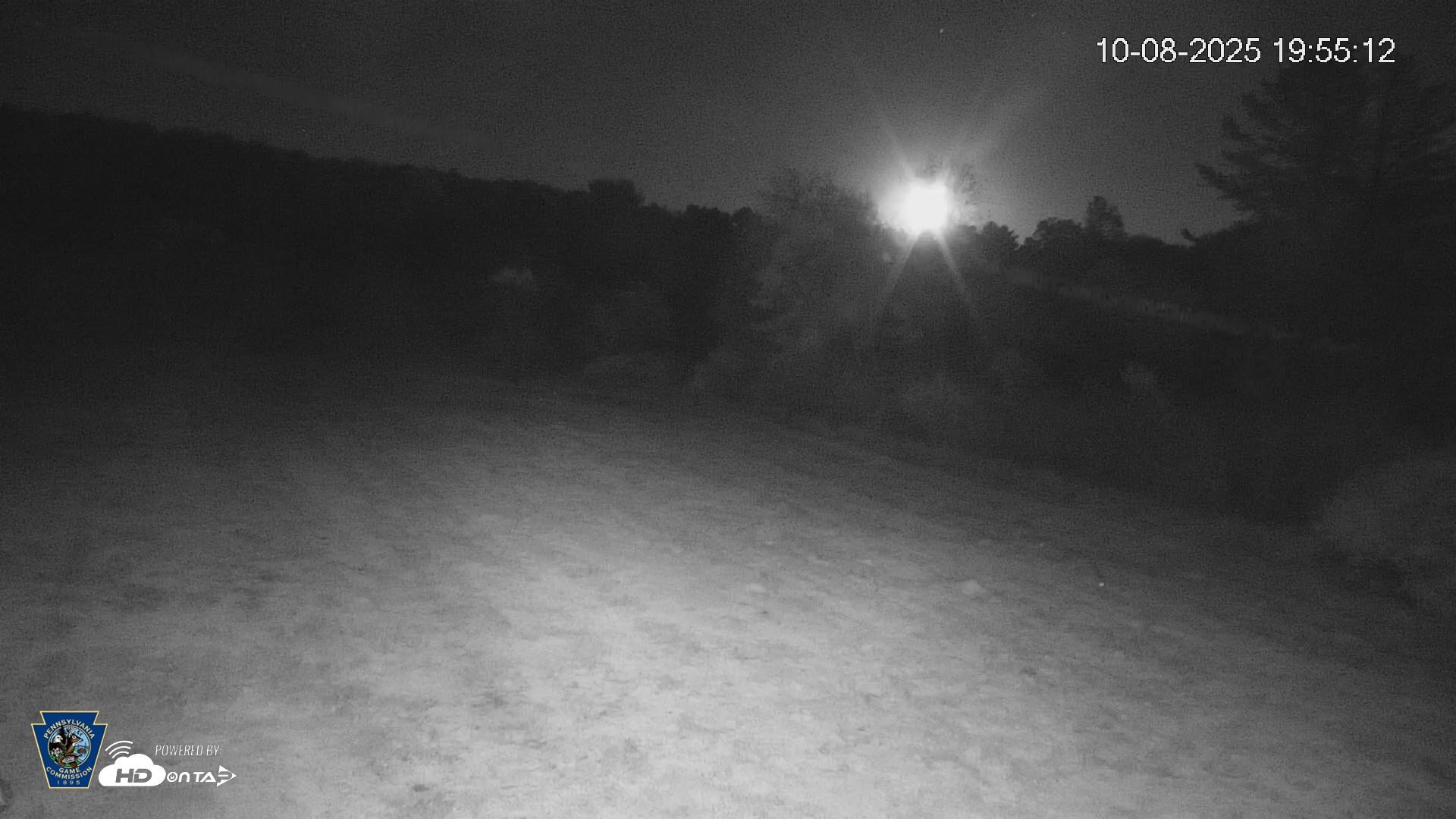 Snapshot of Pennsylvania Elk Live Webcam taken Oct 8, 2025, 7:55pm EDT