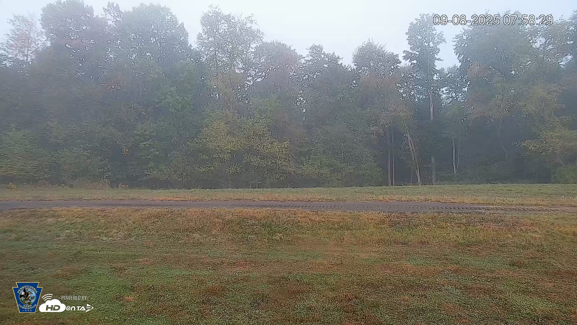 Snapshot of Pennsylvania Elk Live Webcam taken Sep 8, 2025, 7:59am EDT