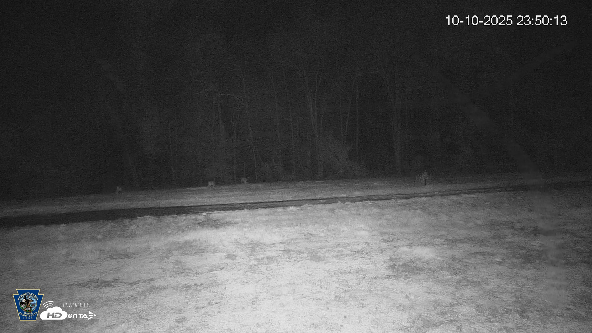Snapshot of Pennsylvania Elk Live Webcam taken Oct 10, 2025, 11:50pm EDT