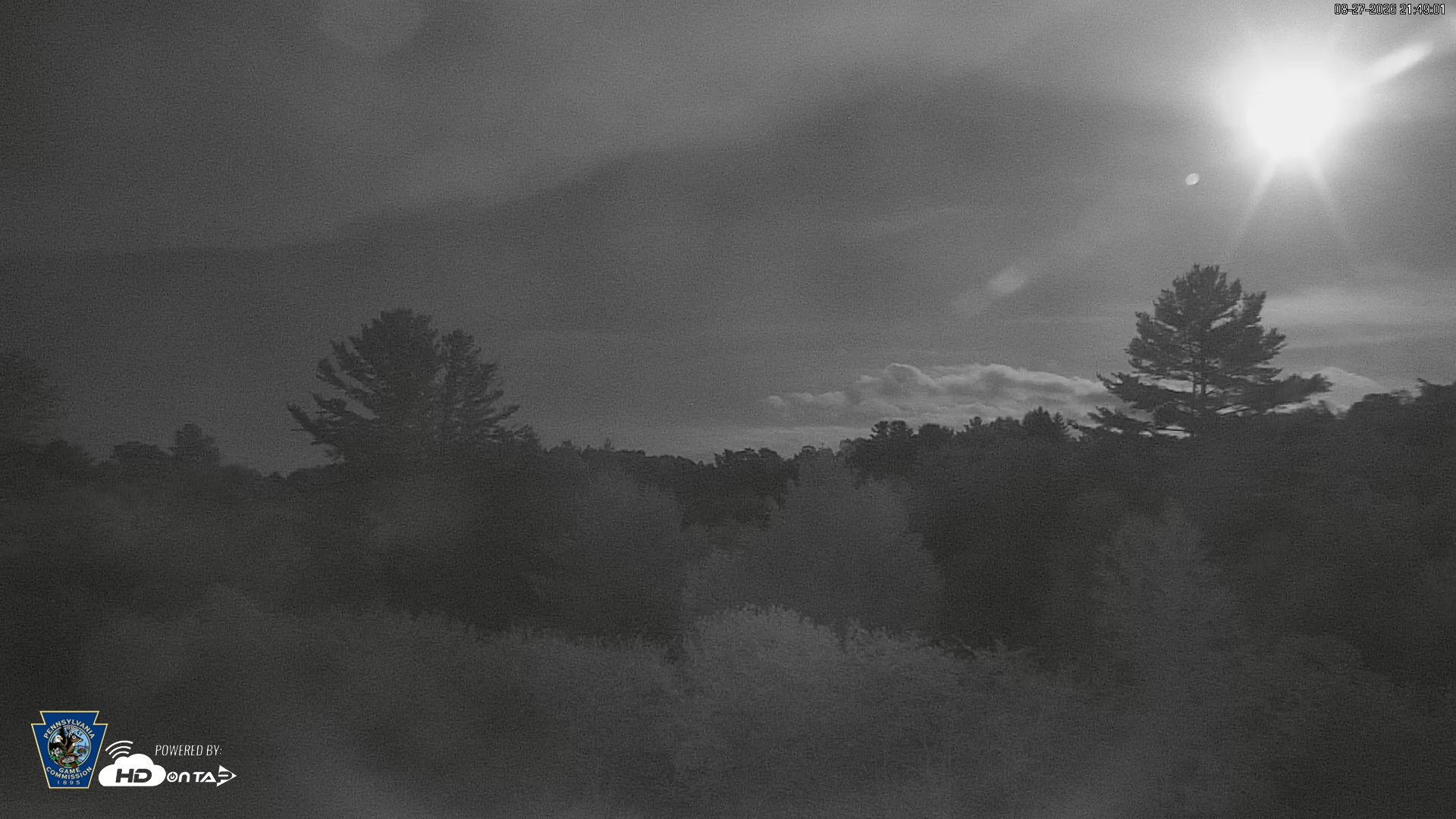 Snapshot of Pennsylvania Elk Live Webcam taken Aug 27, 2026, 9:49pm EDT