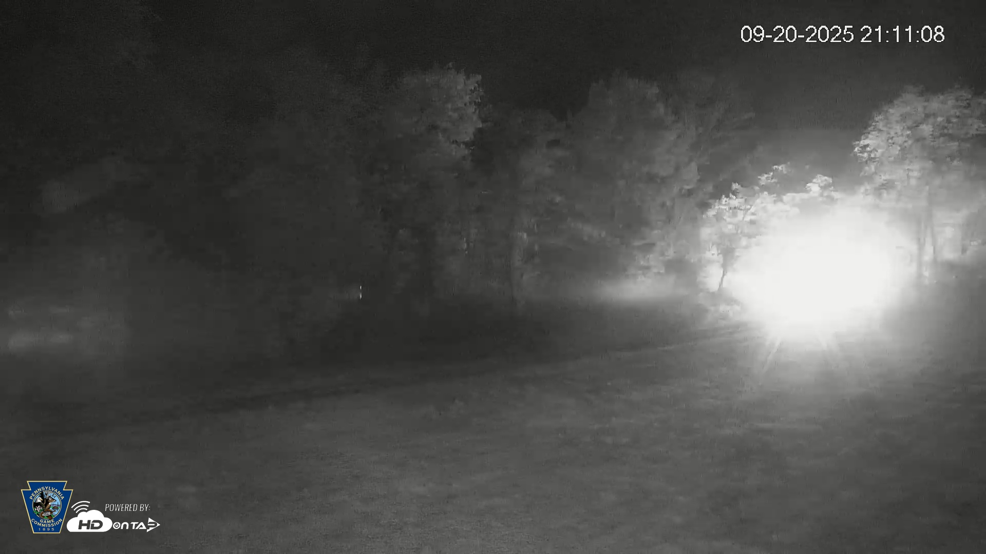 Snapshot of Pennsylvania Elk Live Webcam taken Sep 20, 2025, 9:11pm EDT