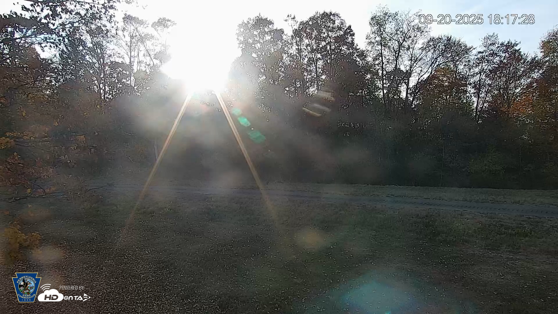 Snapshot of Pennsylvania Elk Live Webcam taken Sep 20, 2025, 6:18pm EDT