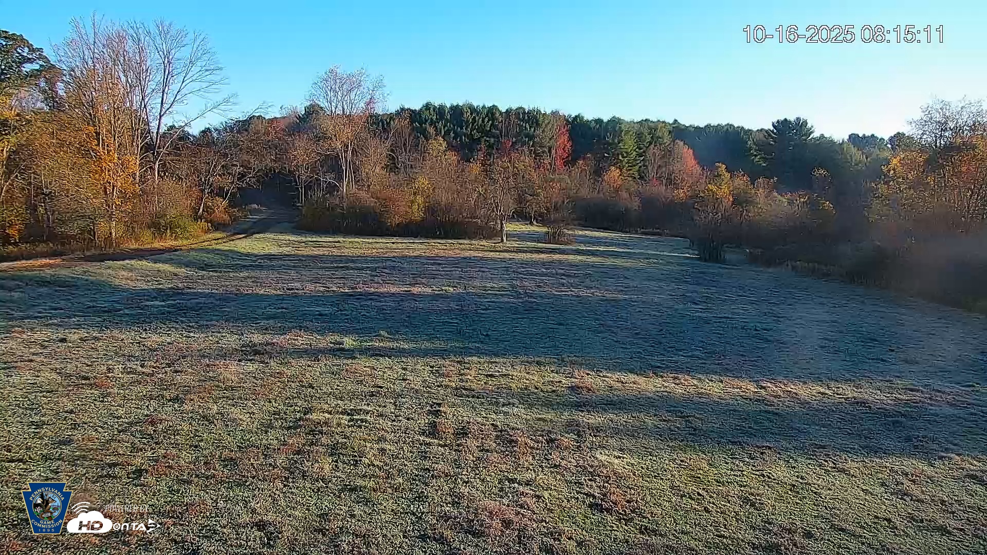 Snapshot of Pennsylvania Elk Live Webcam taken Oct 16, 2025, 8:16am EDT