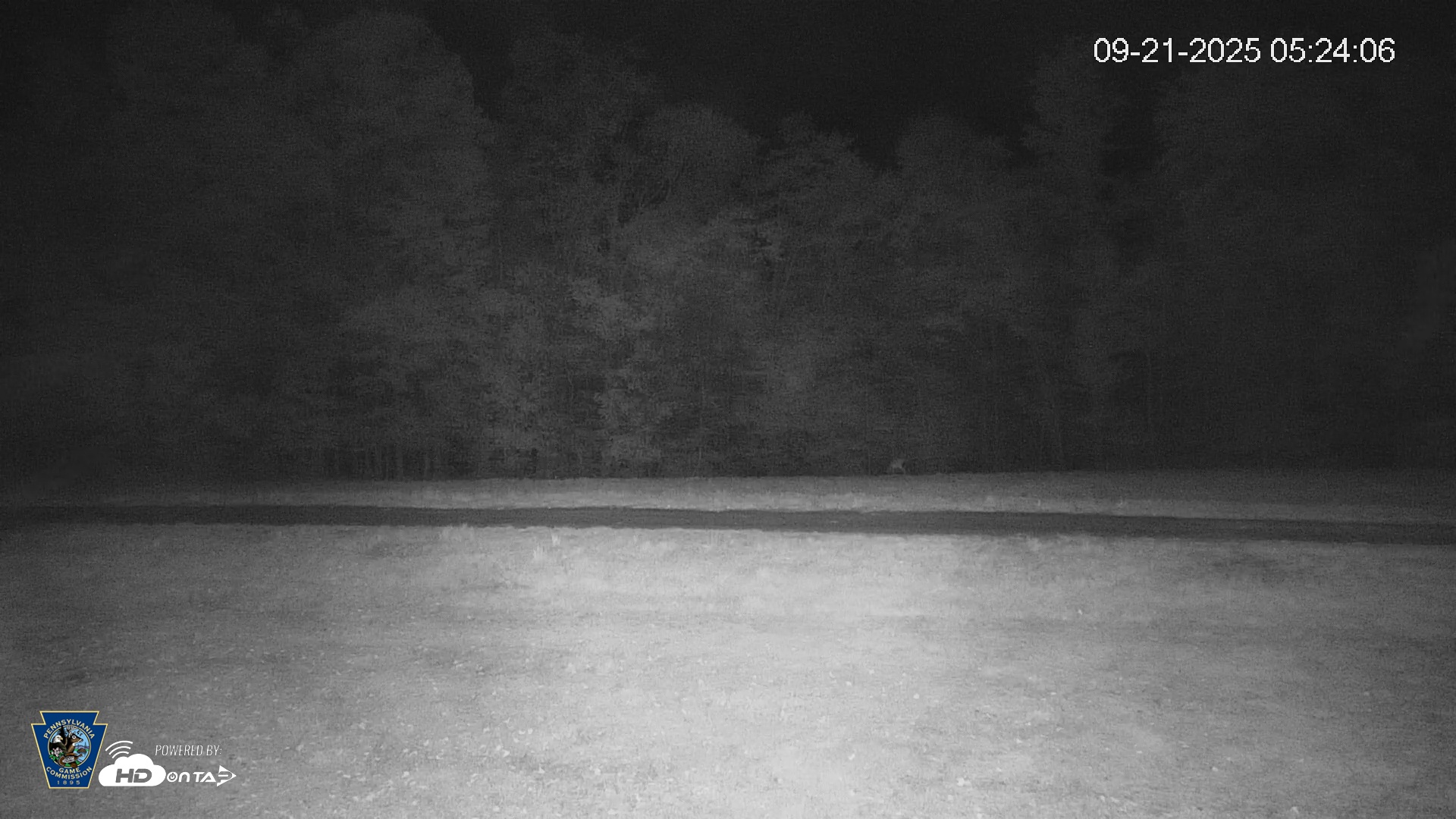 Snapshot of Pennsylvania Elk Live Webcam taken Sep 21, 2025, 5:24am EDT