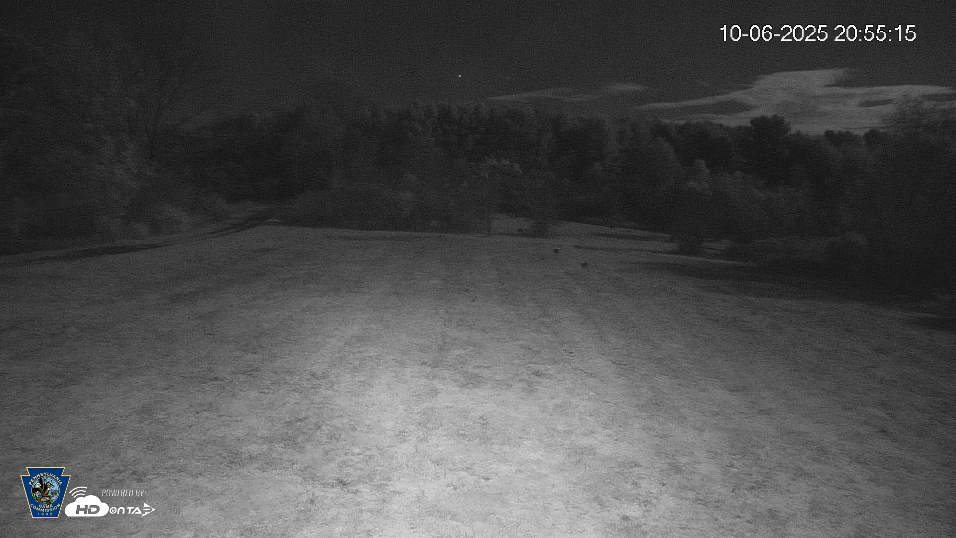 Snapshot of Pennsylvania Elk Live Webcam taken Oct 6, 2025, 8:56pm EDT