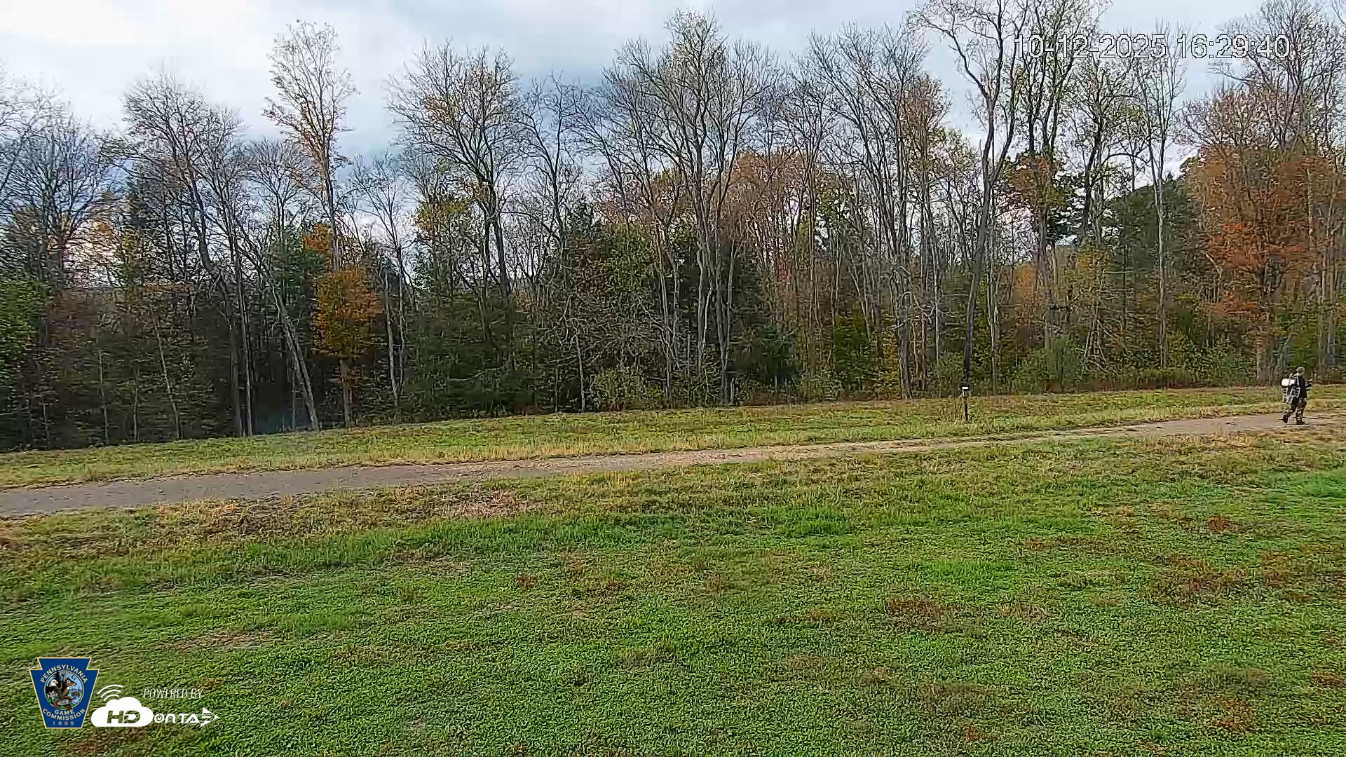 Snapshot of Pennsylvania Elk Live Webcam taken Oct 12, 2025, 4:30pm EDT