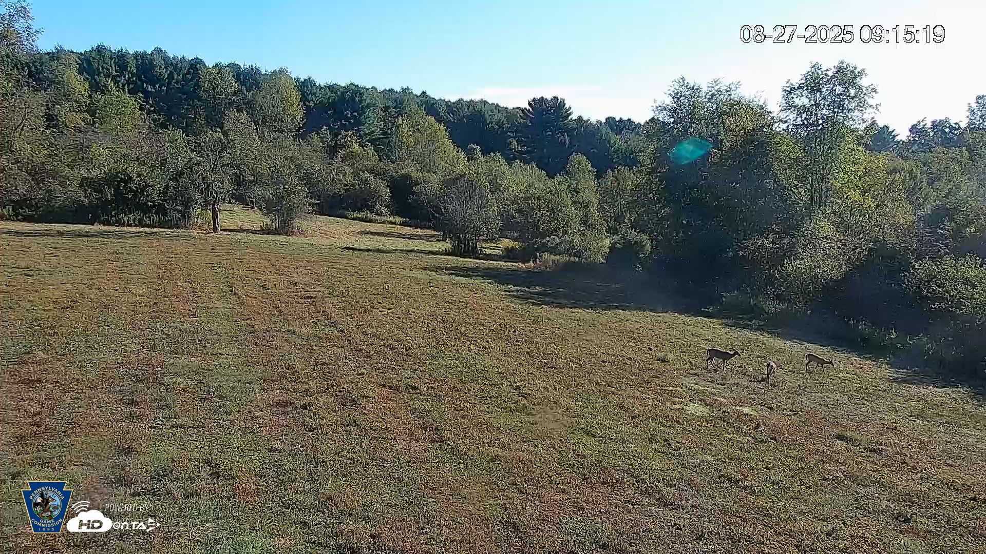 Snapshot of Pennsylvania Elk Live Webcam taken Aug 27, 2025, 9:16am EDT