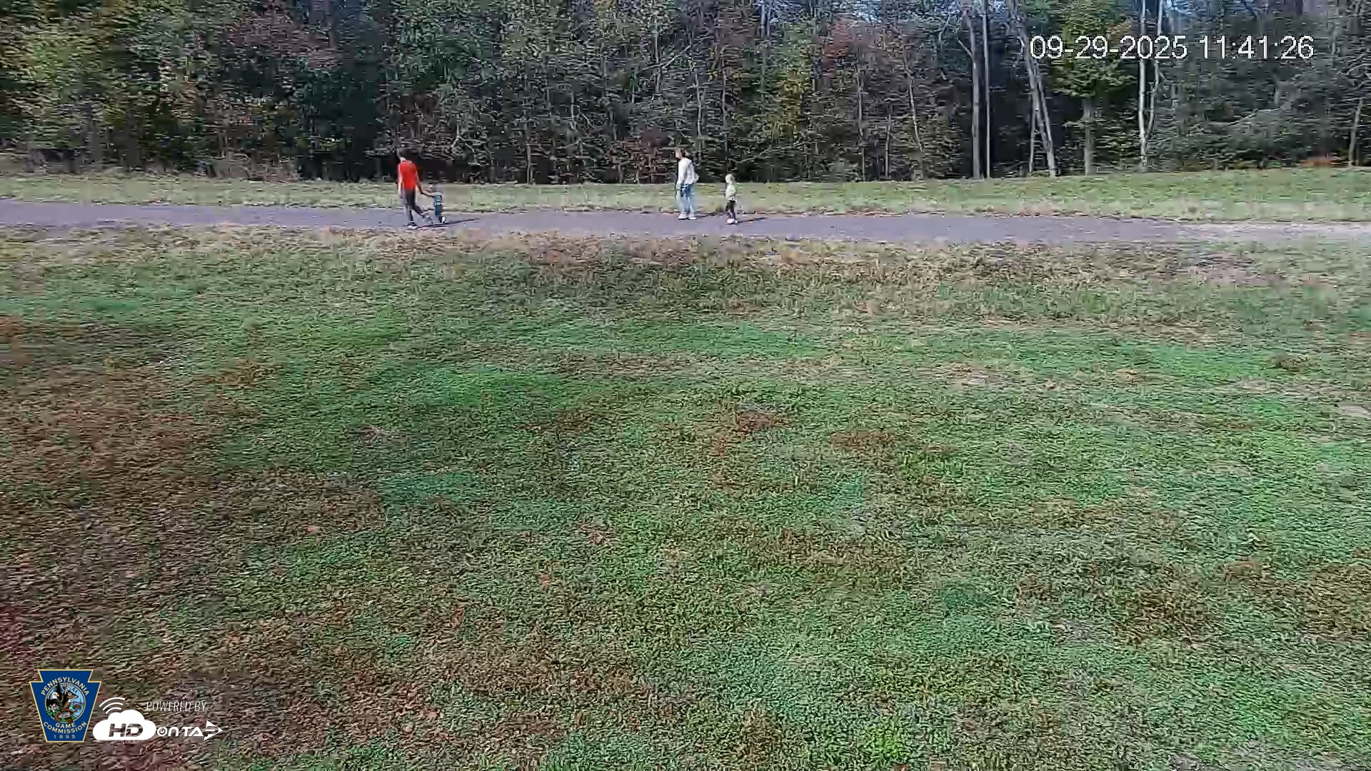 Snapshot of Pennsylvania Elk Live Webcam taken Sep 29, 2025, 11:42am EDT