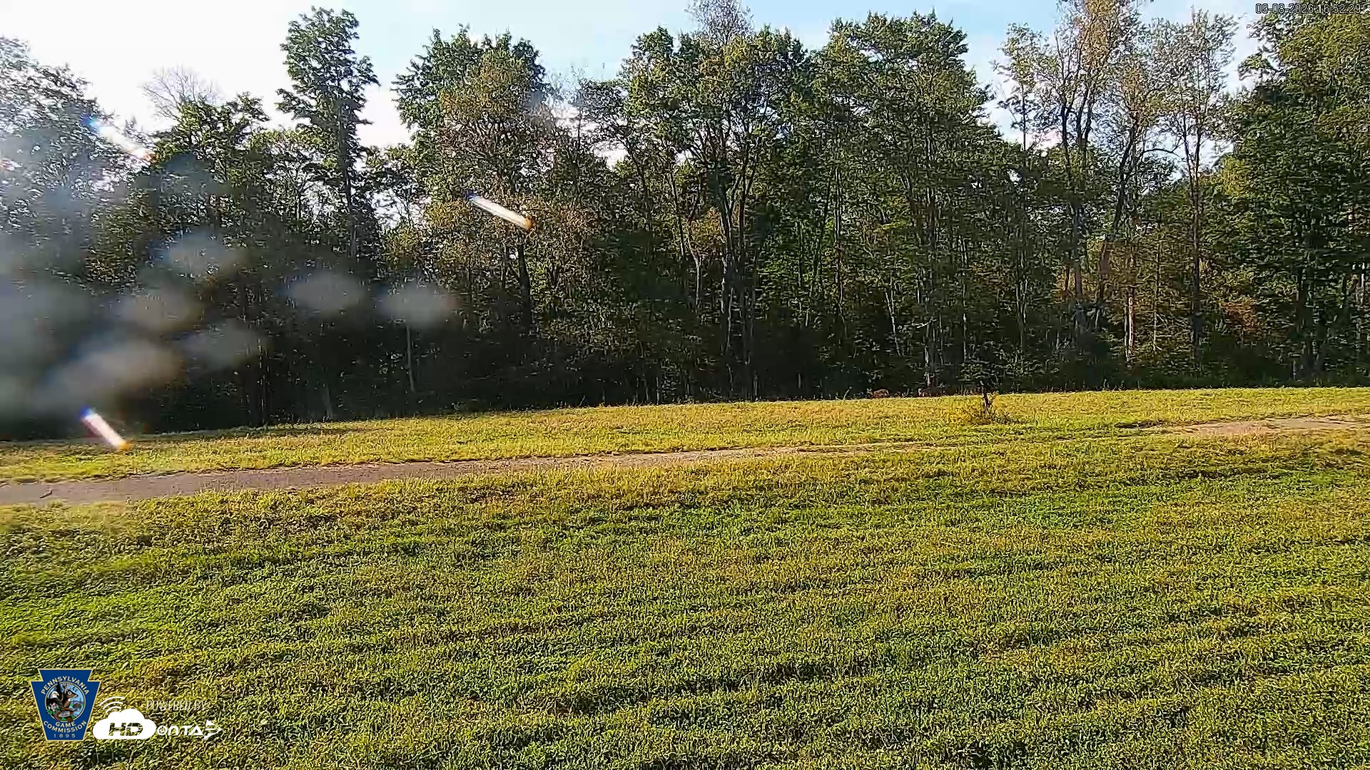 Snapshot of Pennsylvania Elk Live Webcam taken Sep 8, 2026, 4:53pm EDT