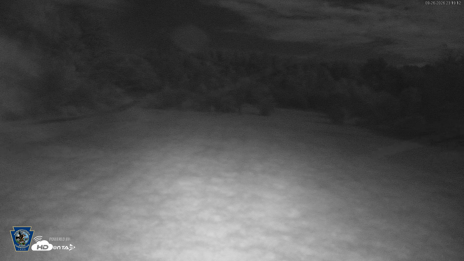 Snapshot of Pennsylvania Elk Live Webcam taken Sep 26, 2026, 11:19pm EDT
