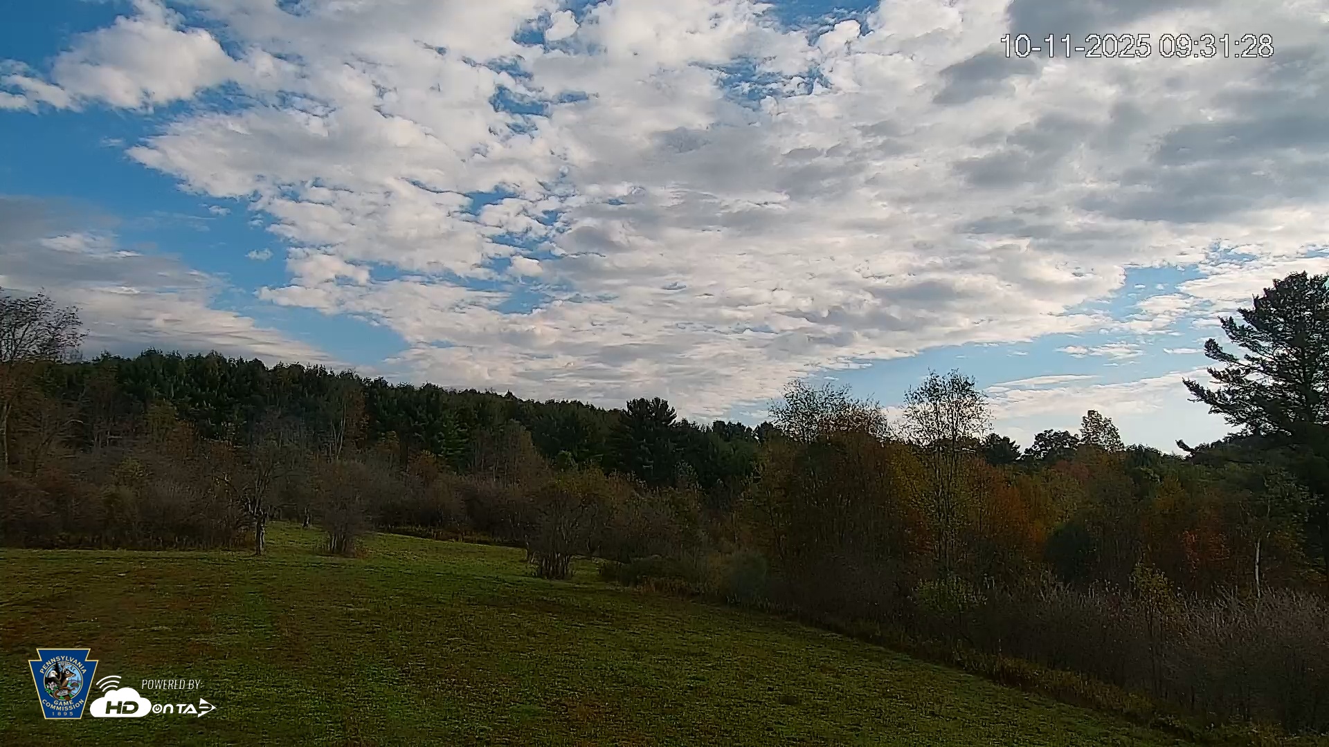 Snapshot of Pennsylvania Elk Live Webcam taken Oct 11, 2025, 9:32am EDT
