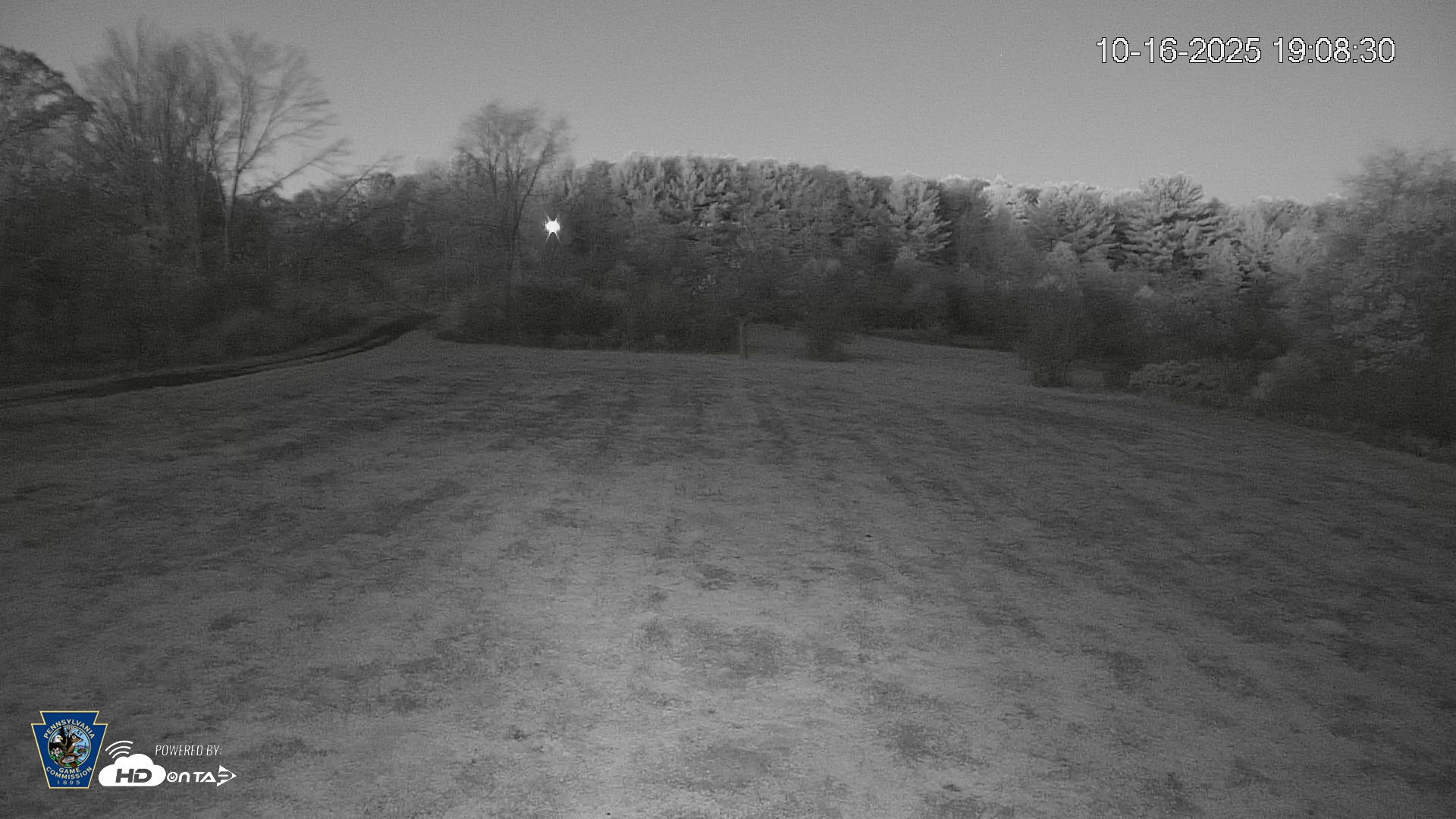 Snapshot of Pennsylvania Elk Live Webcam taken Oct 16, 2025, 7:09pm EDT