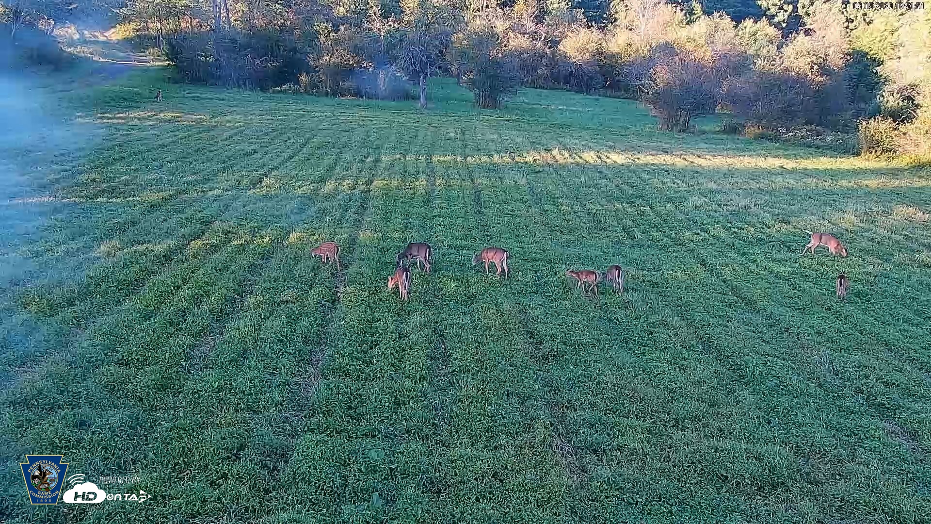 Snapshot of Pennsylvania Elk Live Webcam taken Sep 5, 2026, 6:52pm EDT