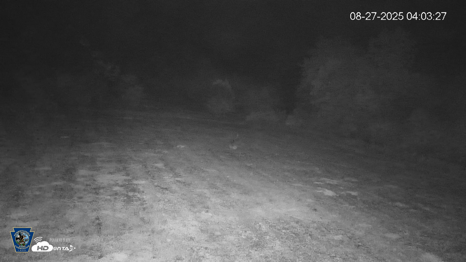 Snapshot of Pennsylvania Elk Live Webcam taken Aug 27, 2025, 4:04am EDT