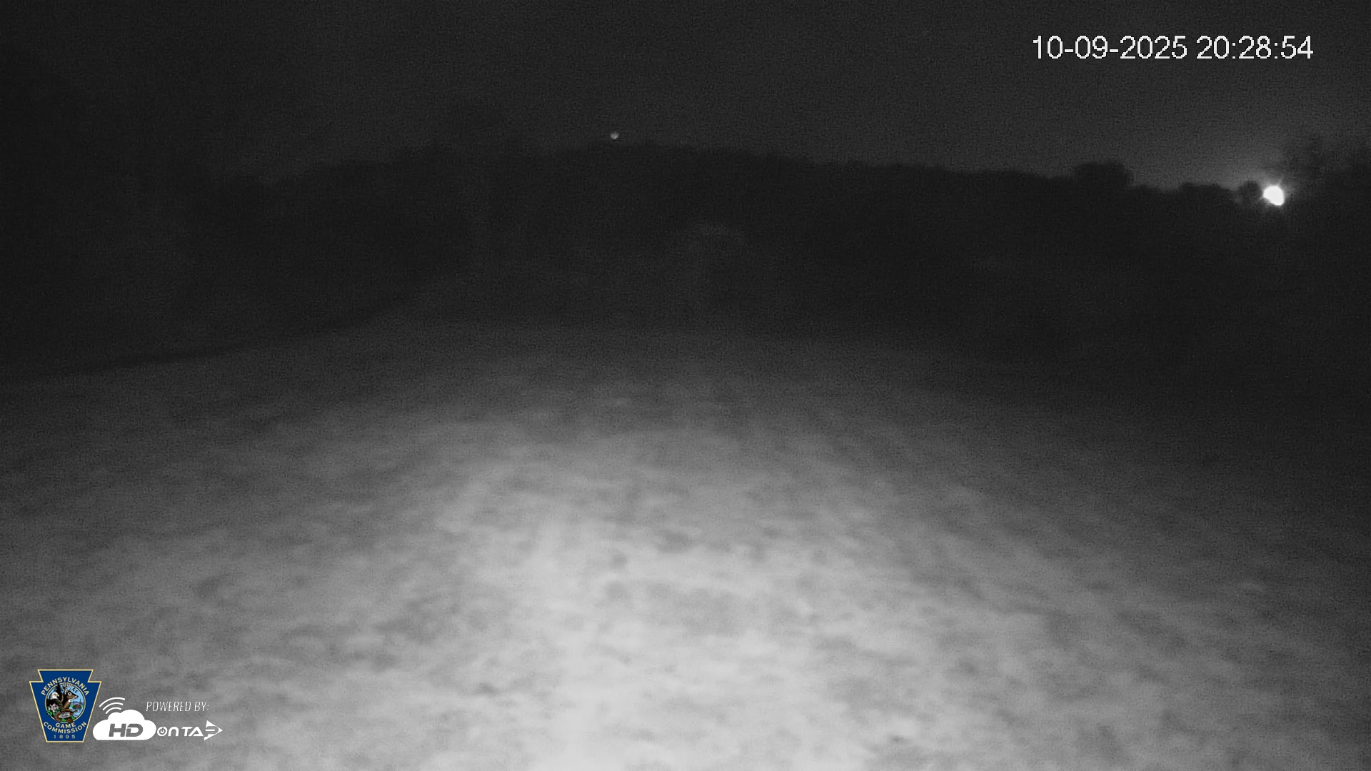 Snapshot of Pennsylvania Elk Live Webcam taken Oct 9, 2025, 8:29pm EDT