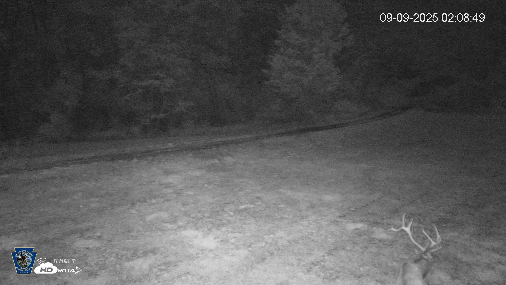 Snapshot of Pennsylvania Elk Live Webcam taken Sep 9, 2025, 2:09am EDT