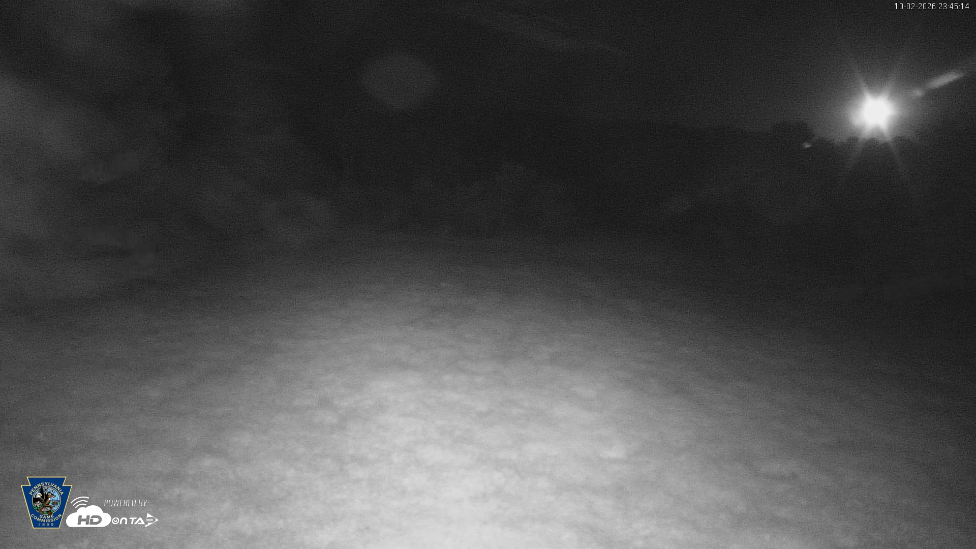 Snapshot of Pennsylvania Elk Live Webcam taken Oct 2, 2026, 11:46pm EDT