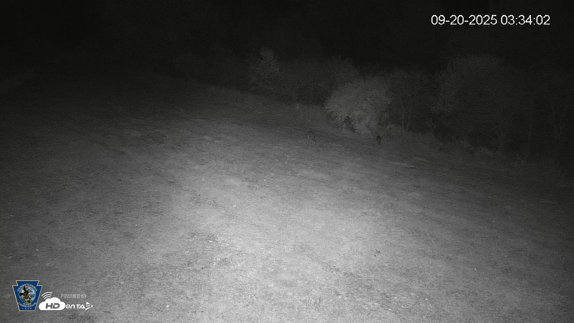 Snapshot of Pennsylvania Elk Live Webcam taken Sep 20, 2025, 3:34am EDT