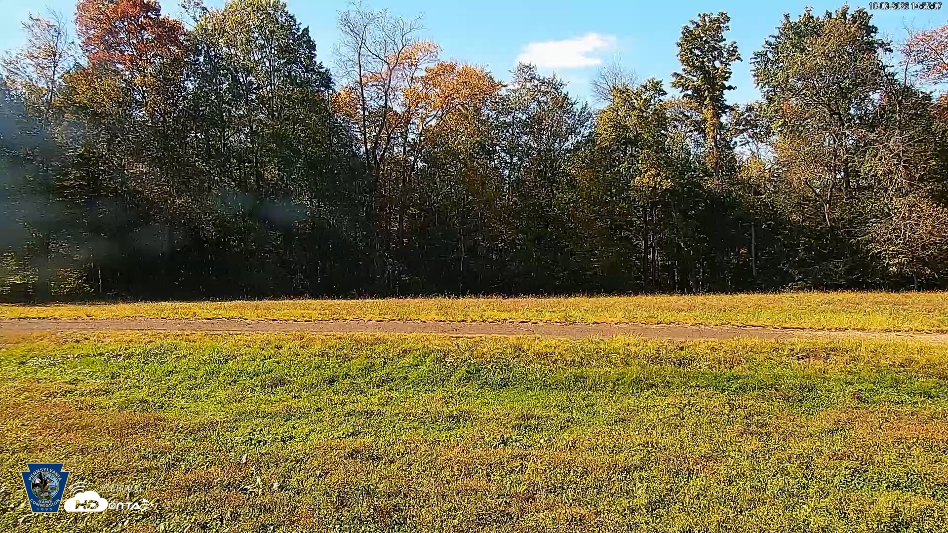 Snapshot of Pennsylvania Elk Live Webcam taken Oct 3, 2026, 2:55pm EDT