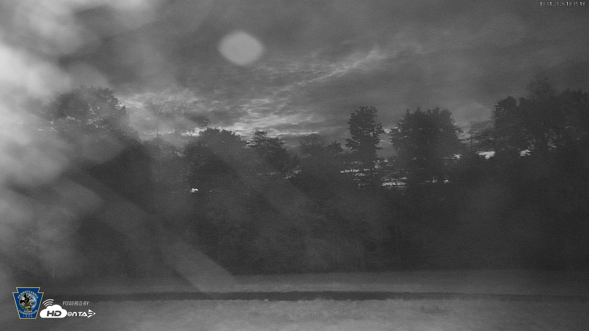 Snapshot of Pennsylvania Elk Live Webcam taken Oct 1, 2026, 7:35pm EDT