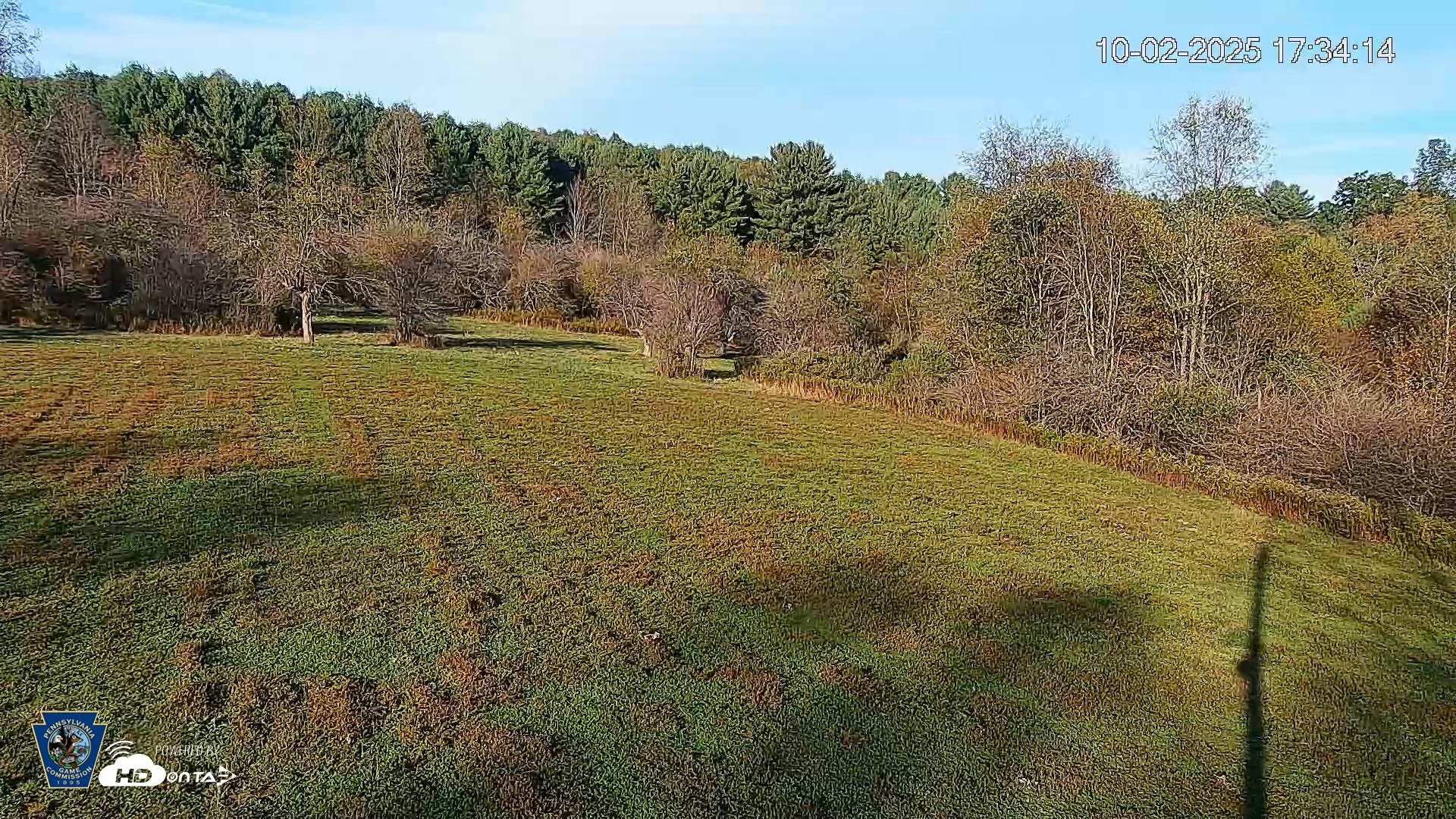 Snapshot of Pennsylvania Elk Live Webcam taken Oct 2, 2025, 5:35pm EDT